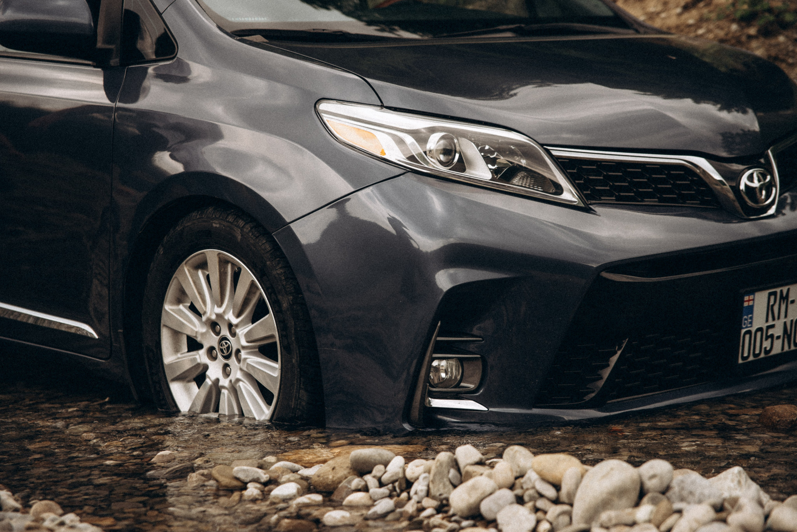 Медвежий приют, Мамкода, Грузия 🇬🇪 «Honey Trip». Anita_photo