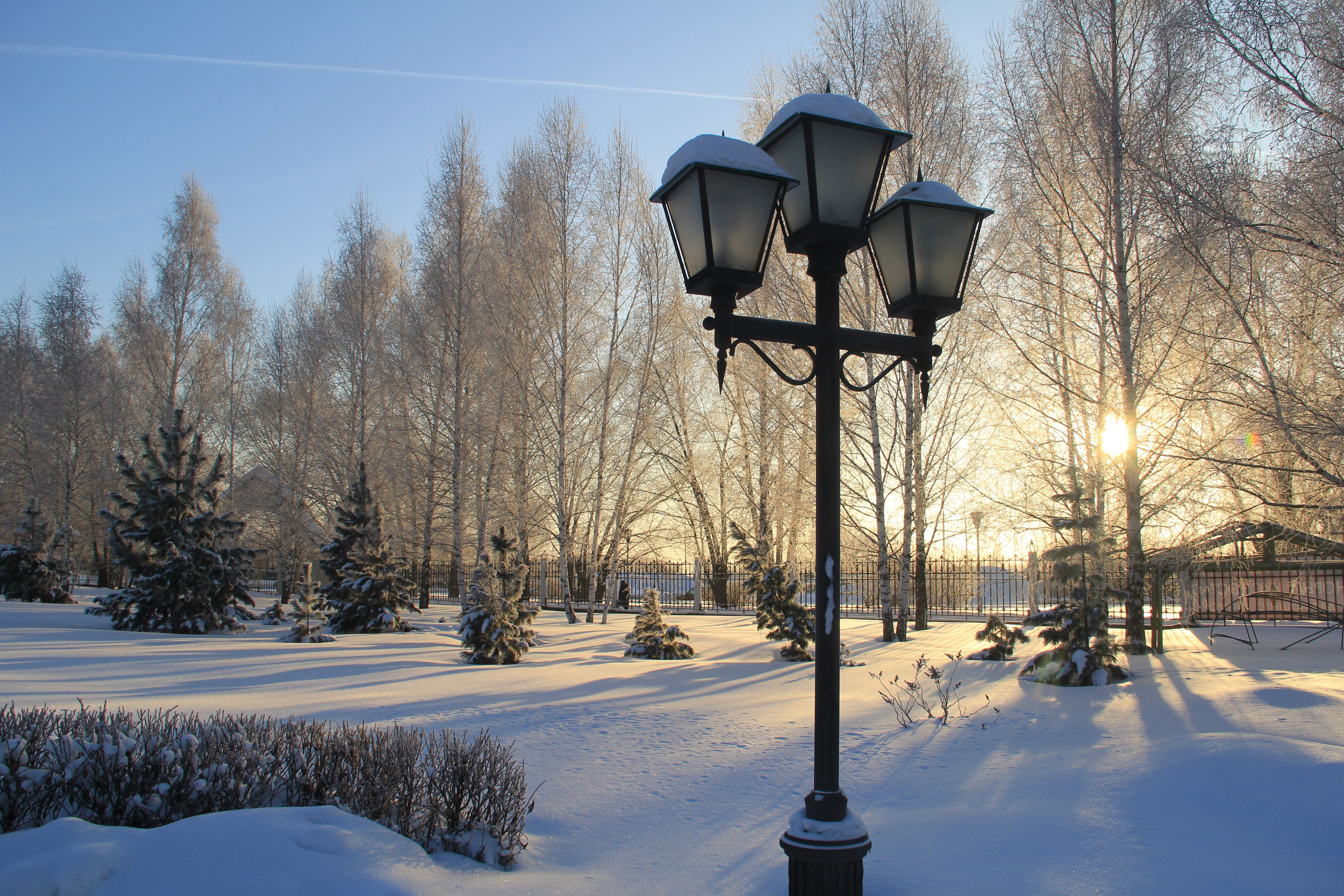 Зима. Ваш фотограф Северск | Томск