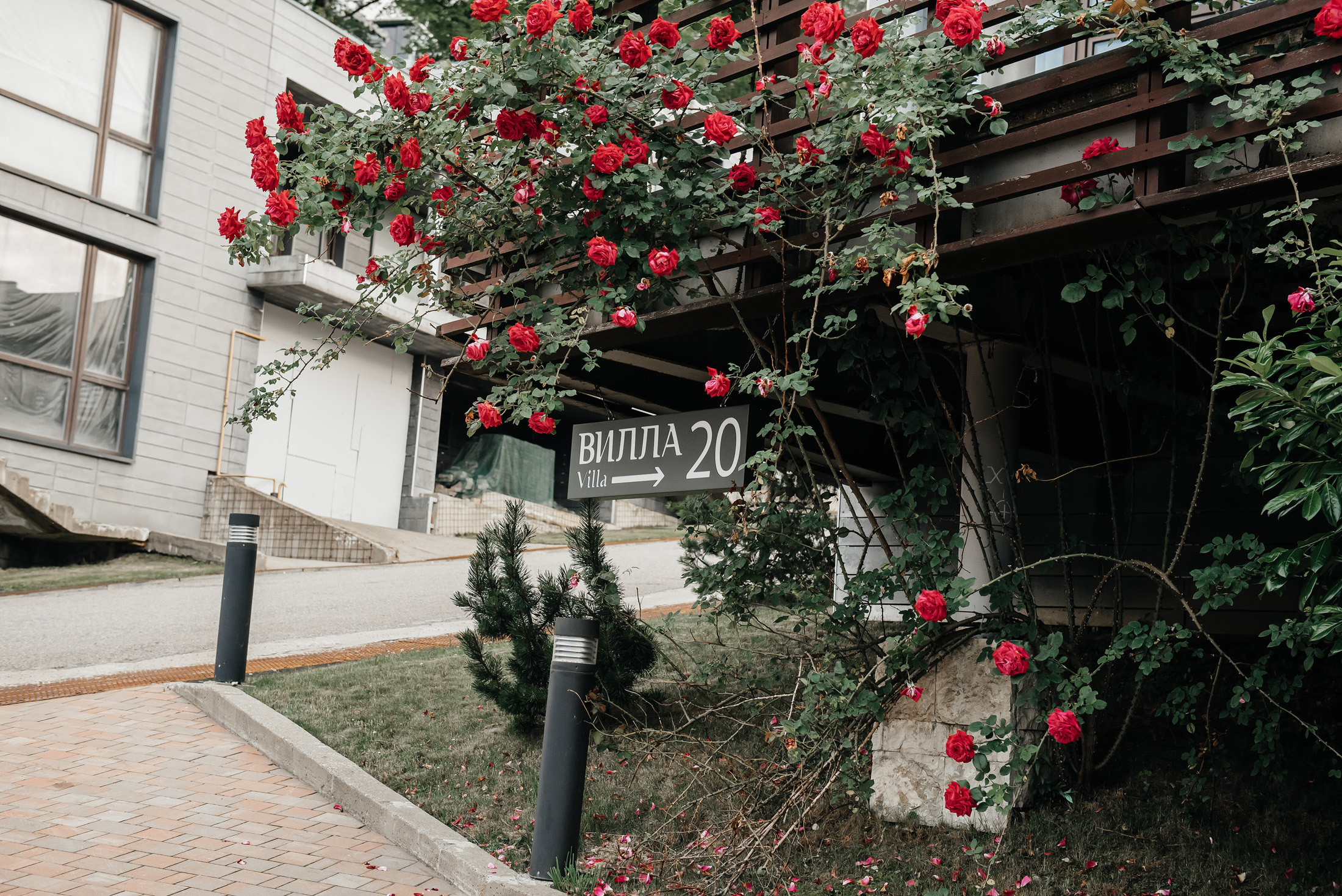 Свадьба в горах в Sky park отель. Фотограф Сочи Евгений Соколов
