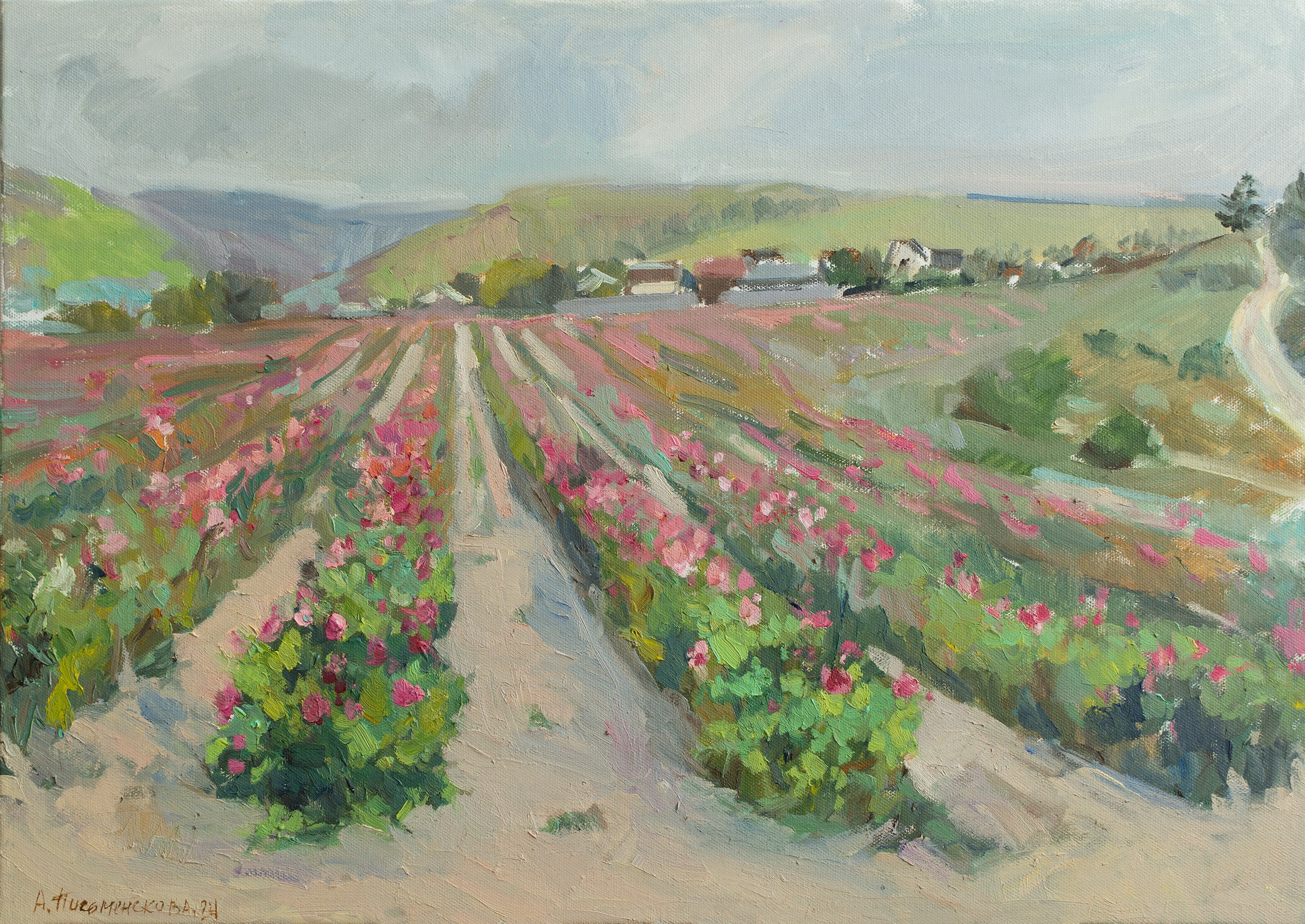 "Этюд в розовом поле" холст, масло 40х60см, 2024