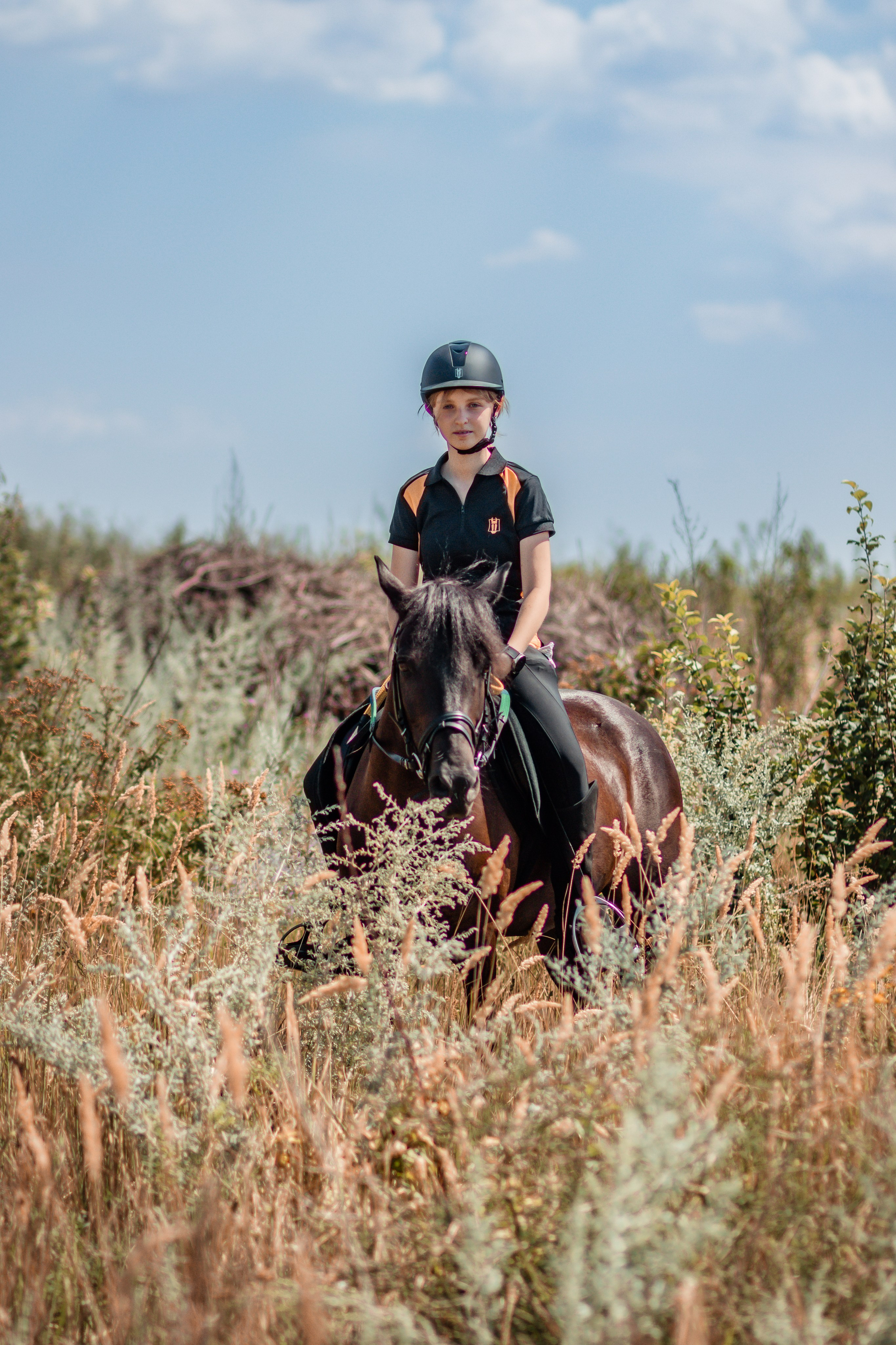 Выезды в поля на лошади