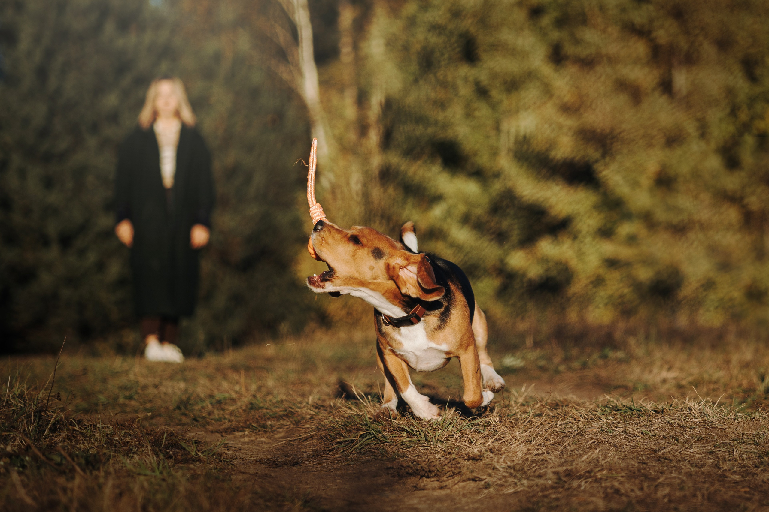 Оуджи и его семья. Фотограф — Анималист | Санкт-Петербург