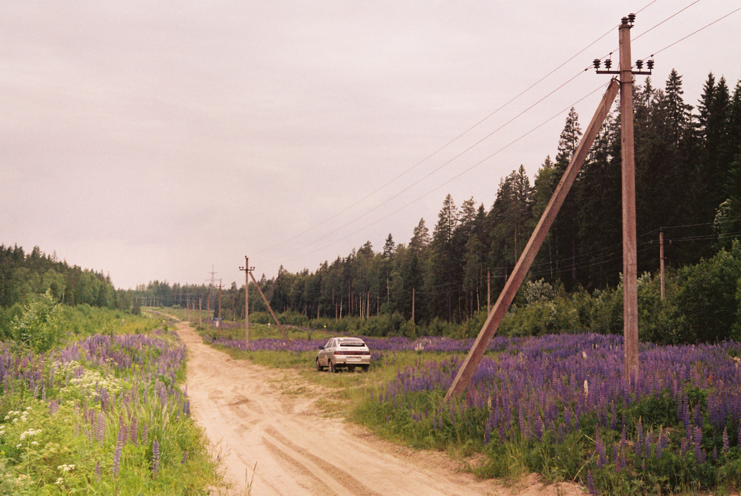 Принты с плёнки — авторские фотографии для интерьера | Илья Михачёв