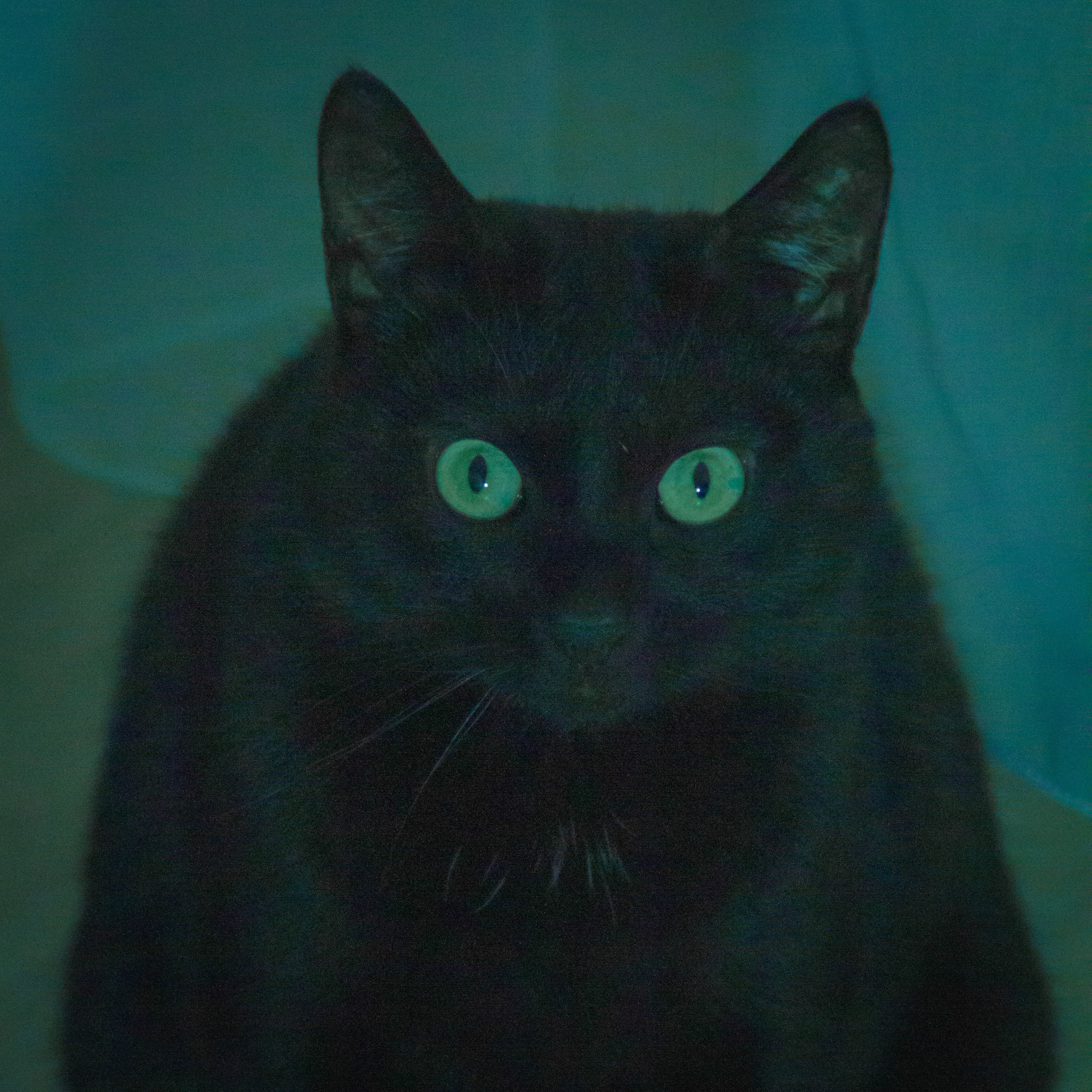 «Без названия»