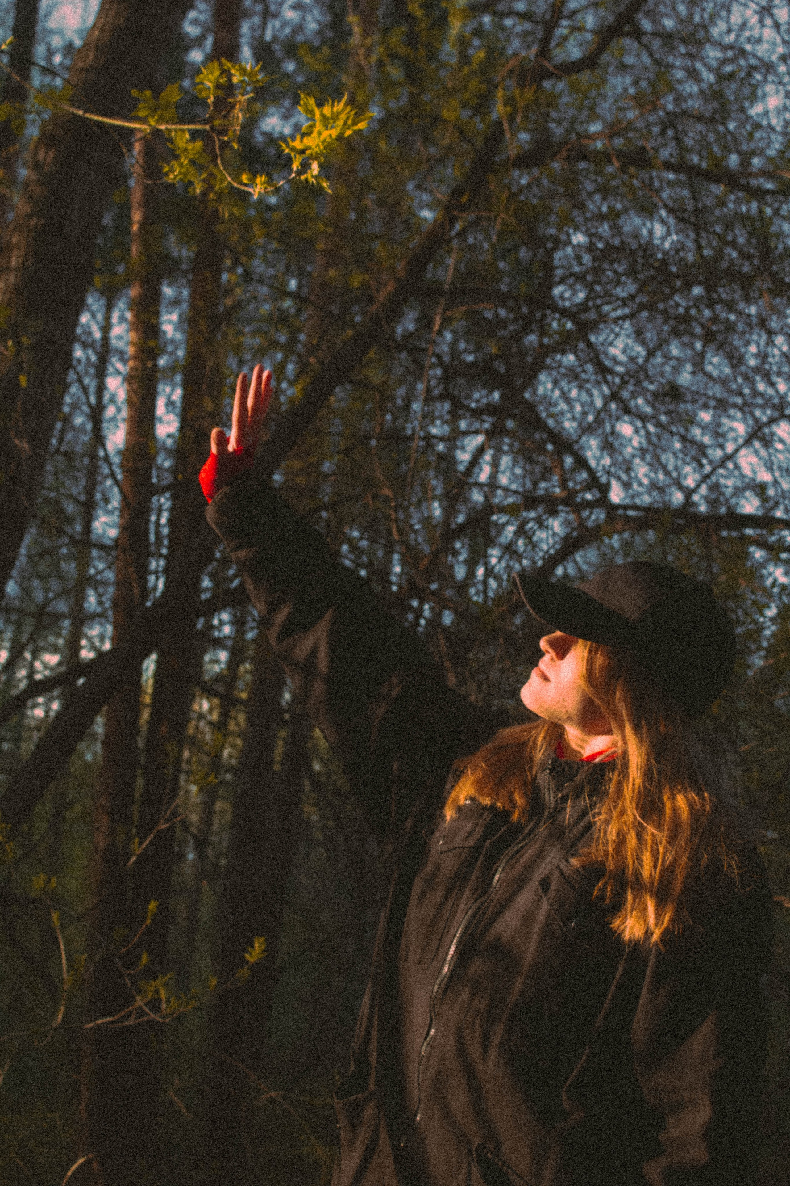 «Без названия»