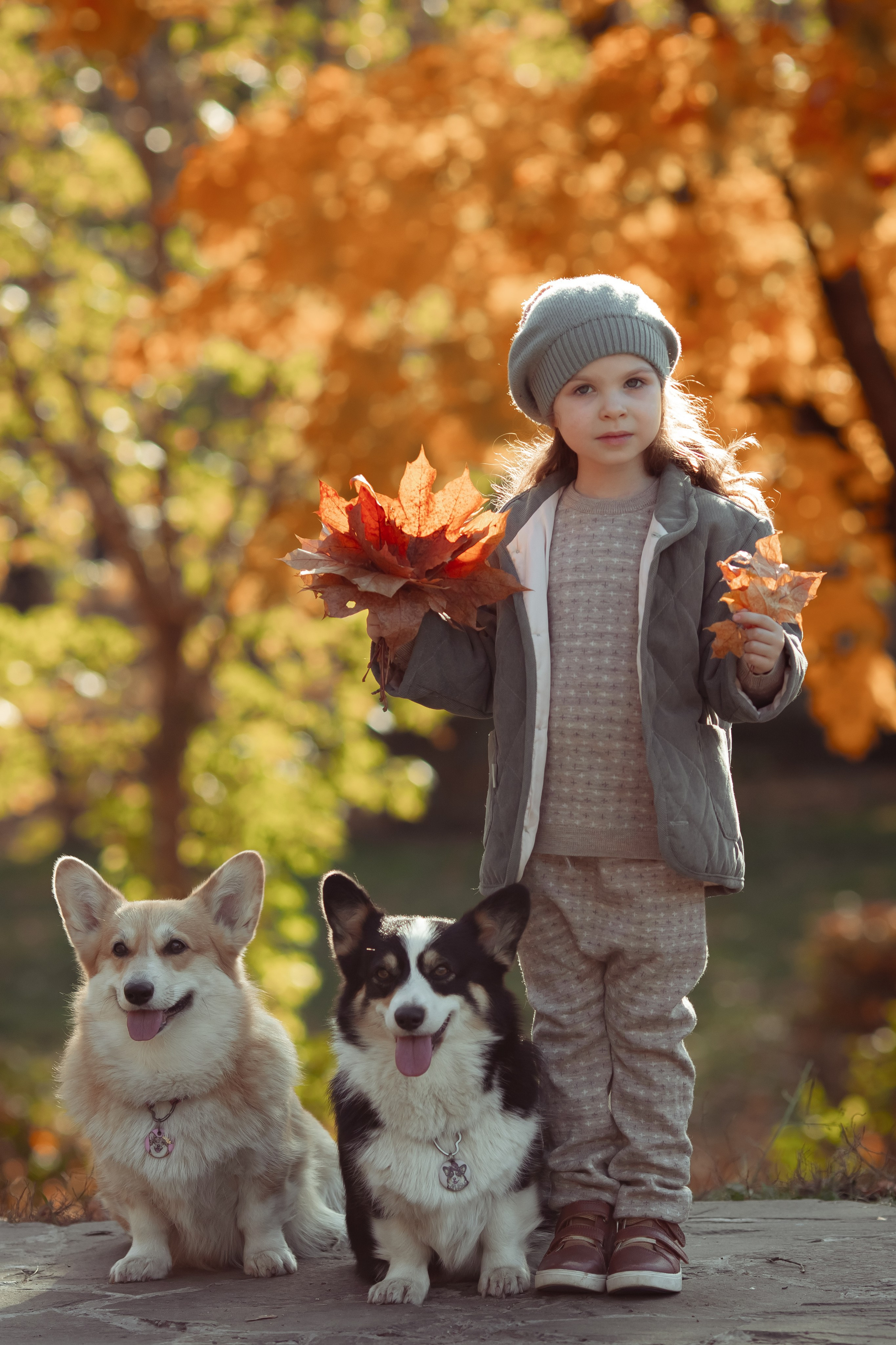 Эва с корги. Семейный и детский фотограф в Москве Дорогова Екатерина