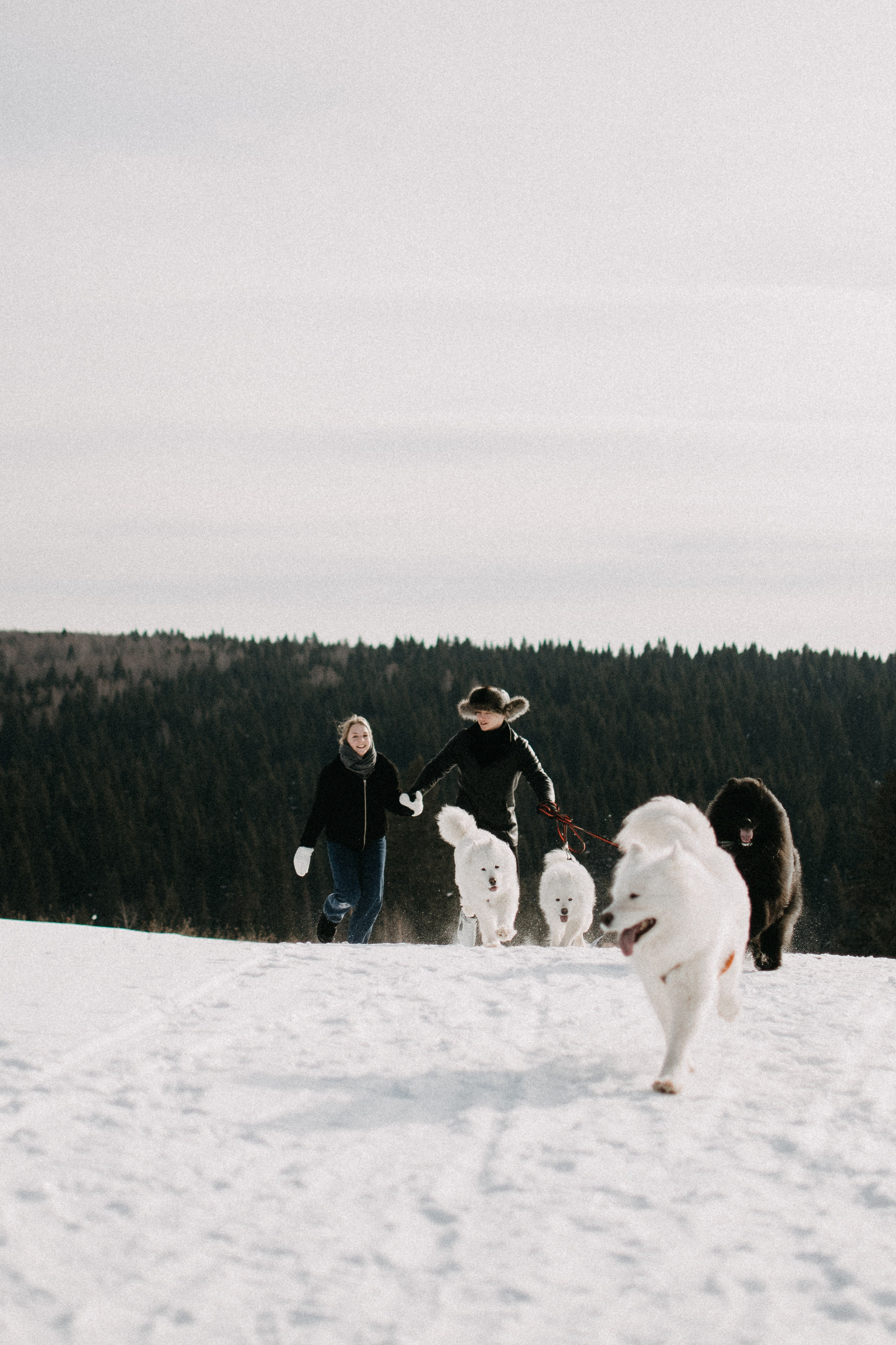 Еся и Сережа. Фотограф Анфиса Хардина Екатеринбург