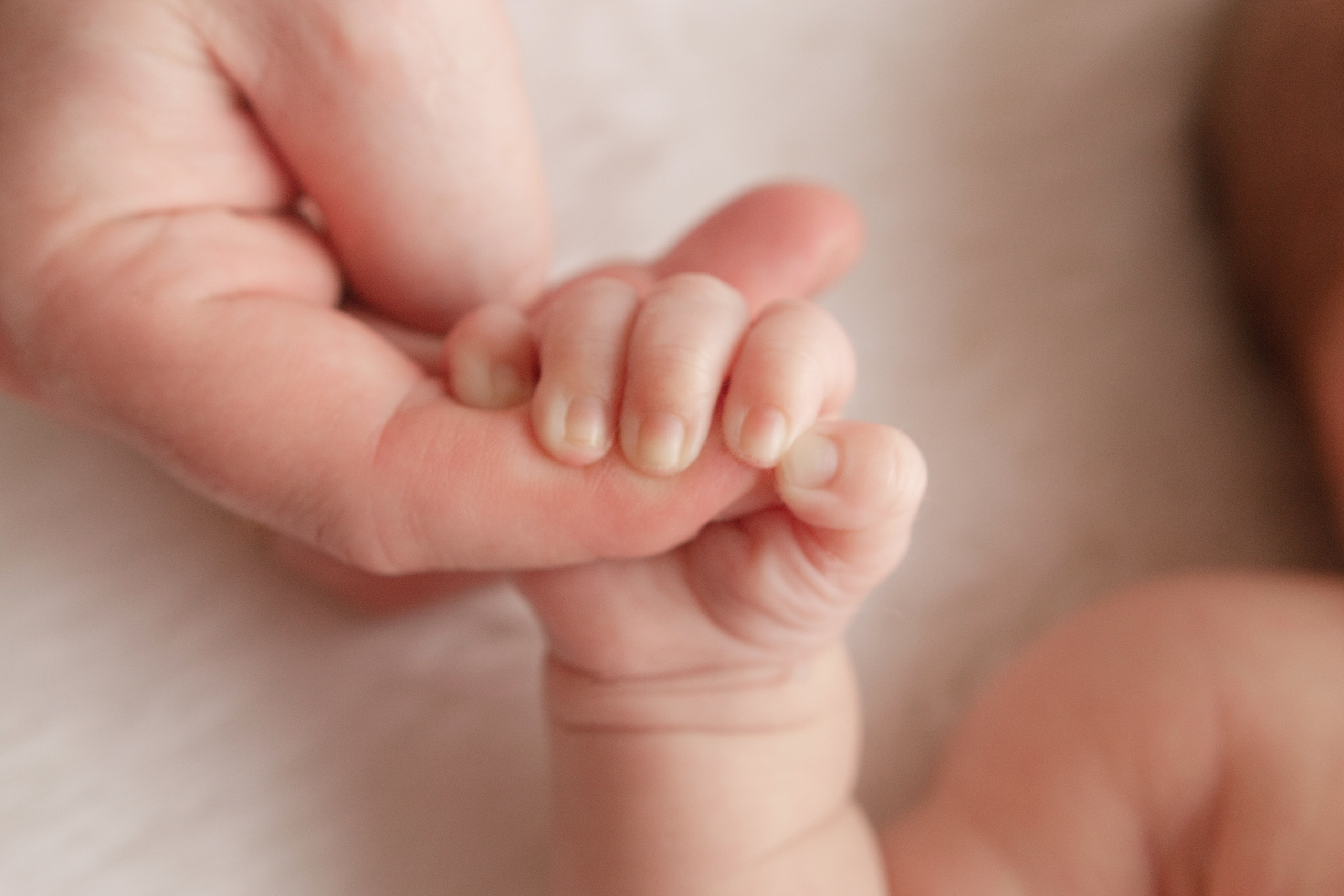 Фото новорождённых. Фотограф новорождённых в Новомосковске Яна Иванушкина