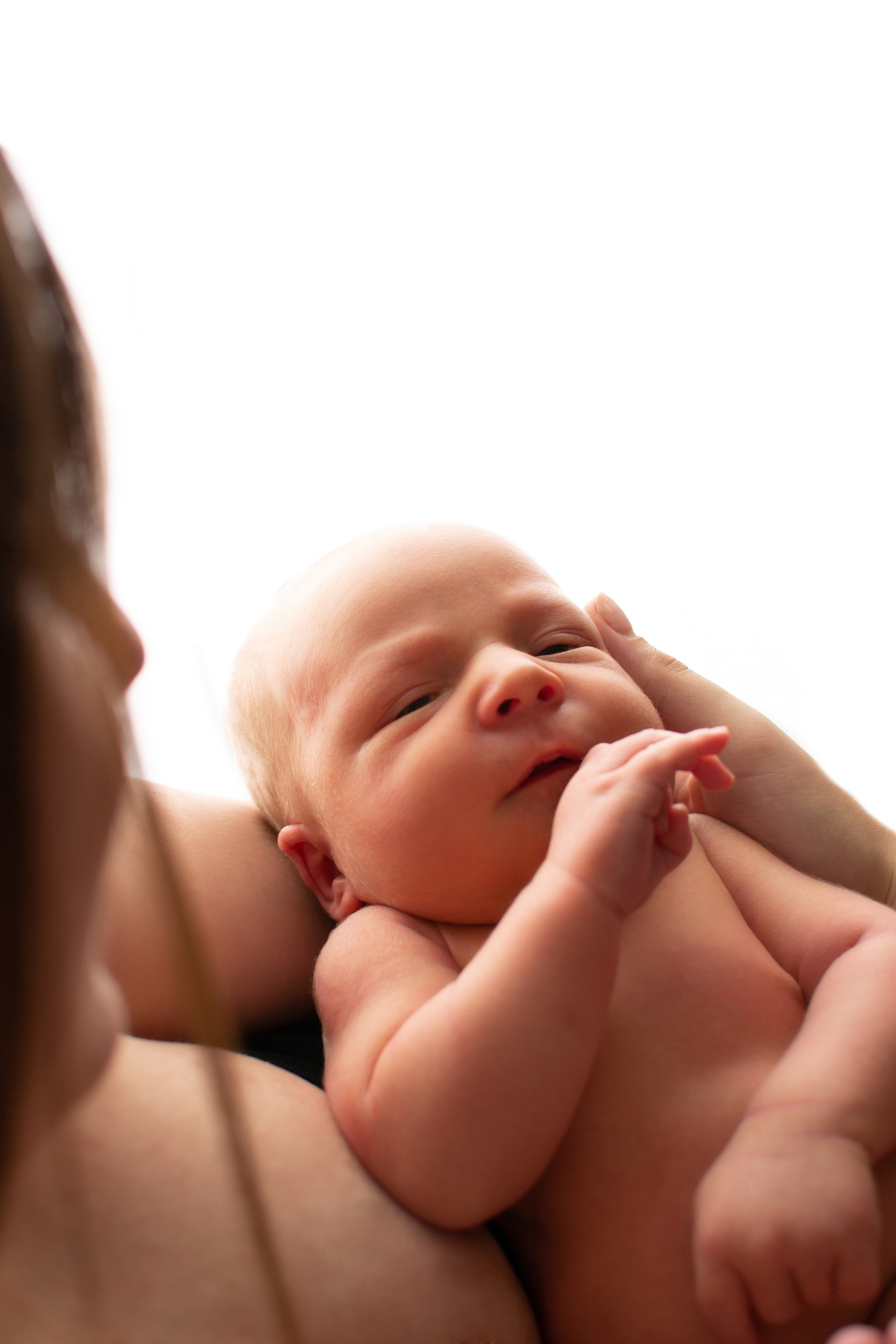 Фото новорождённых. Фотограф новорождённых в Новомосковске Яна Иванушкина