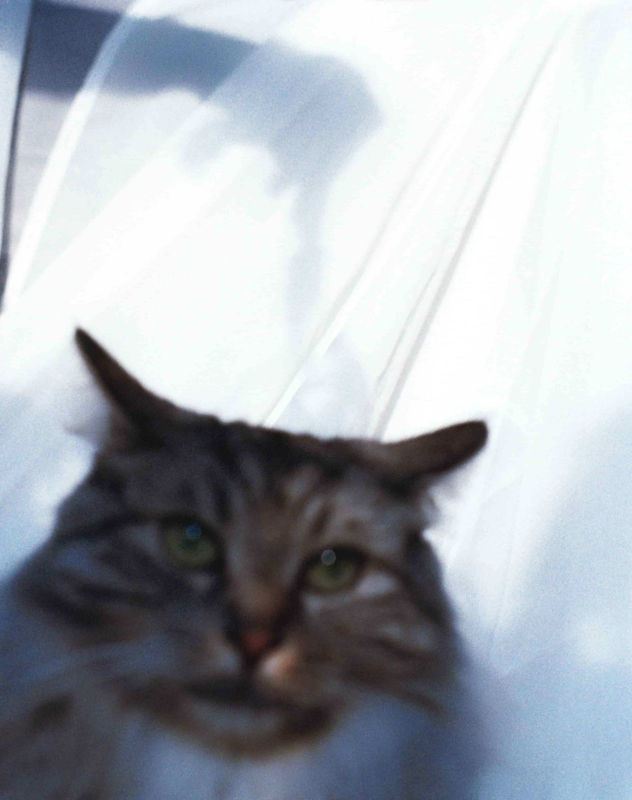 B. Стилист и плёночный фотограф Анастасия Шлокова в Санкт-Петербурге и Москве