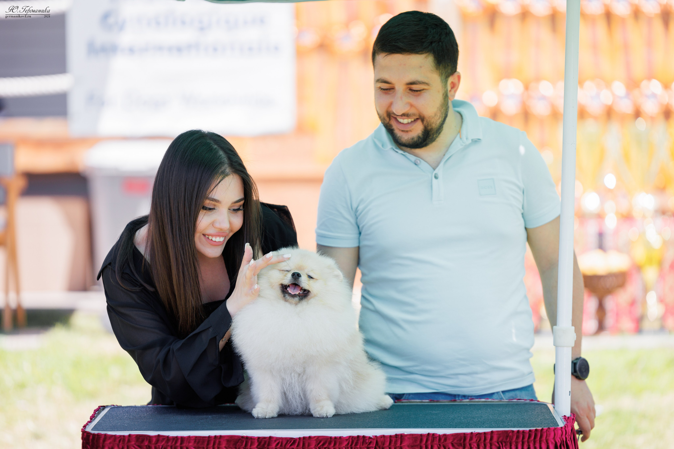 Ереван 3-5.06.2024. Фотограф-анималист Юлия Германика