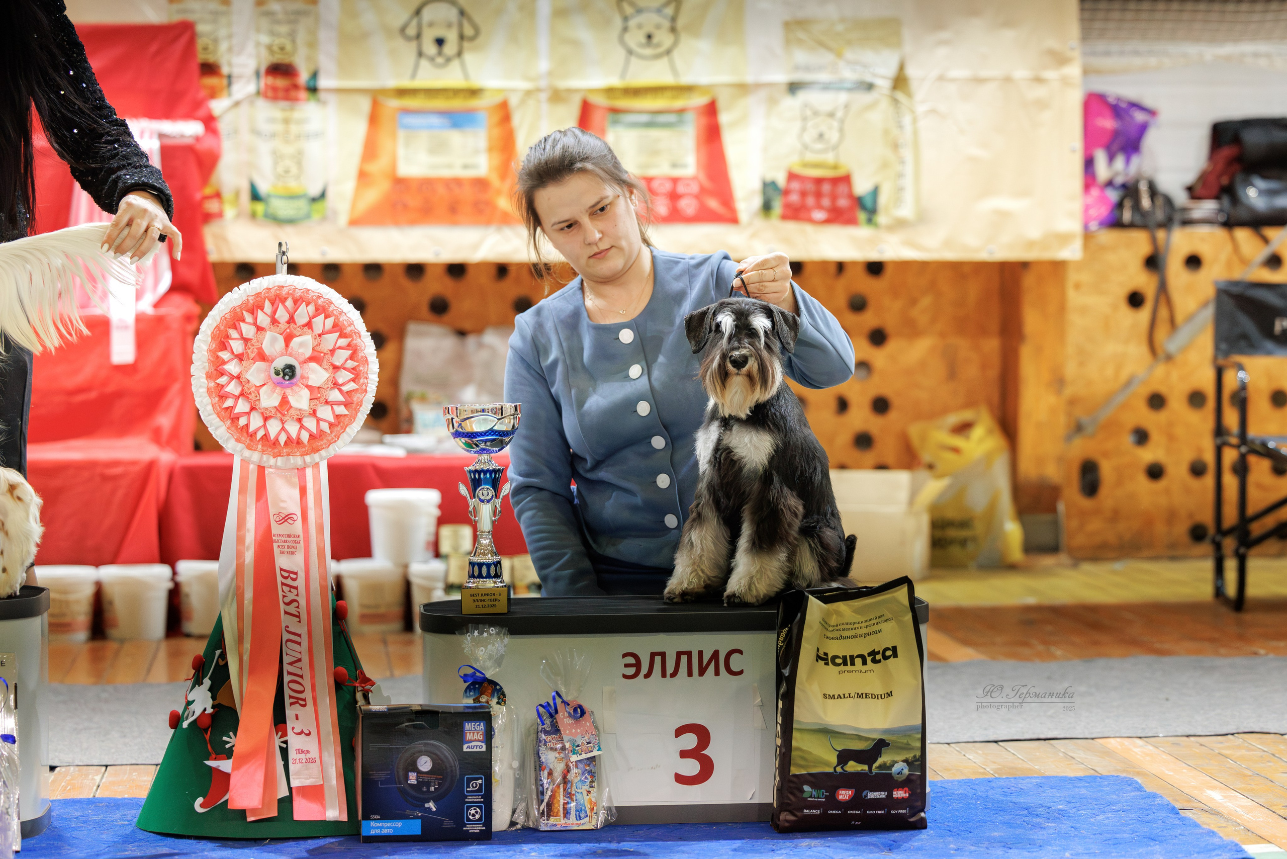 Тверь 21.12.2025. Фотограф-анималист Юлия Германика