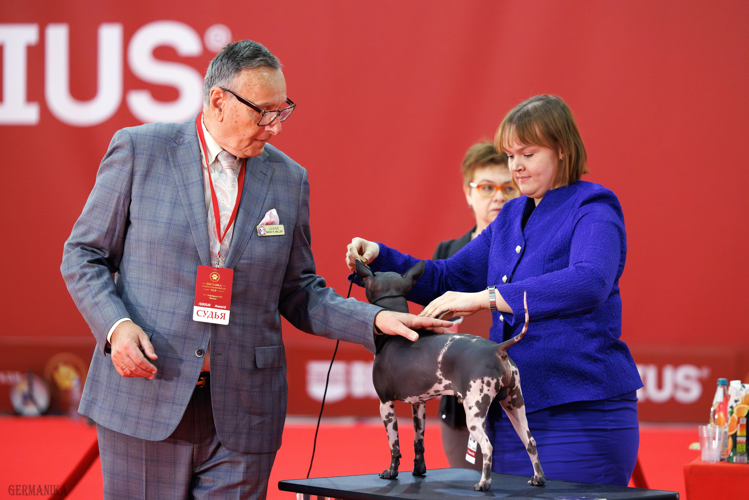 Лучшие Собаки России 17-18.02.2024. Фотограф-анималист Юлия Германика