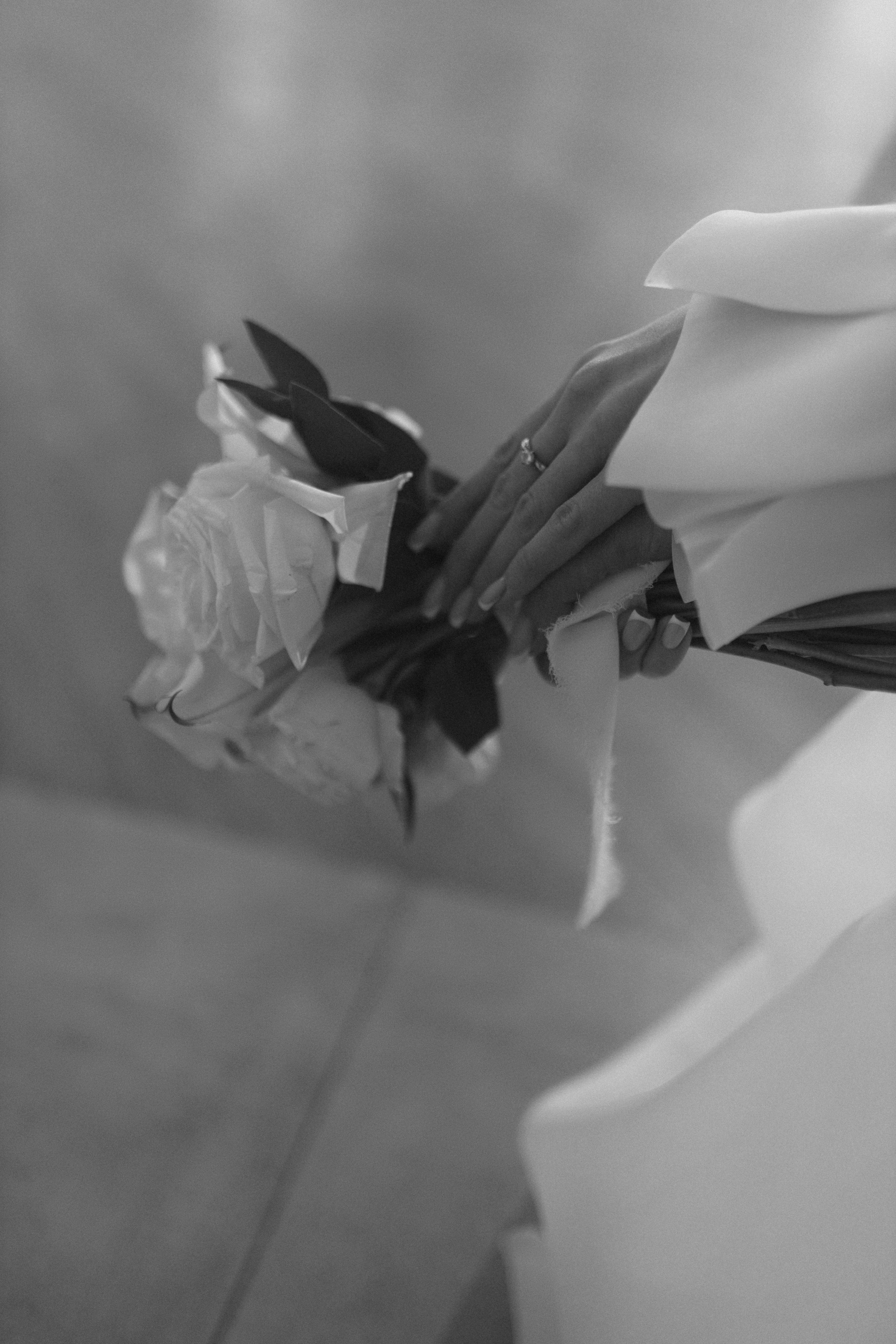 Сергей и Юля. Семейный фотограф Губкин/Старый Оскол