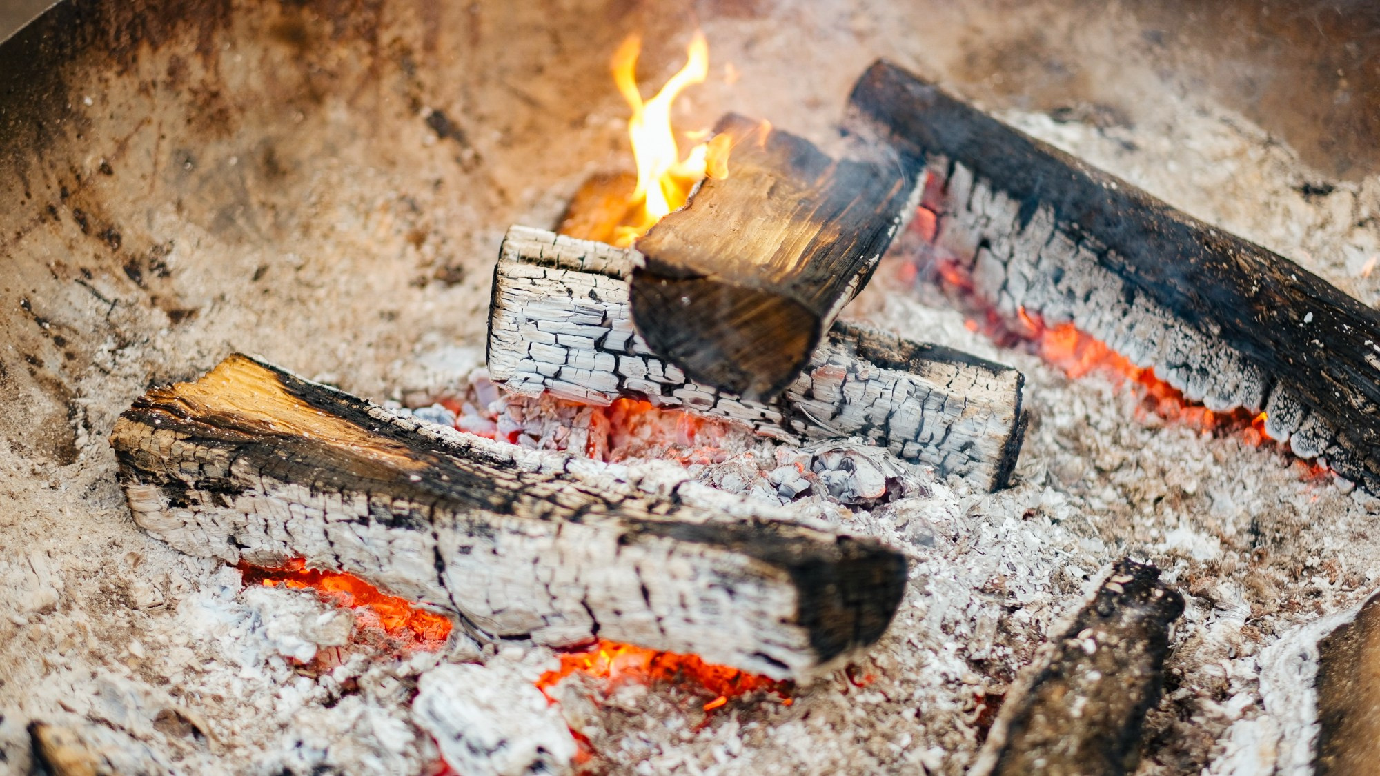 Останови это Лето. Свадебный Видеограф Фотограф в Сочи