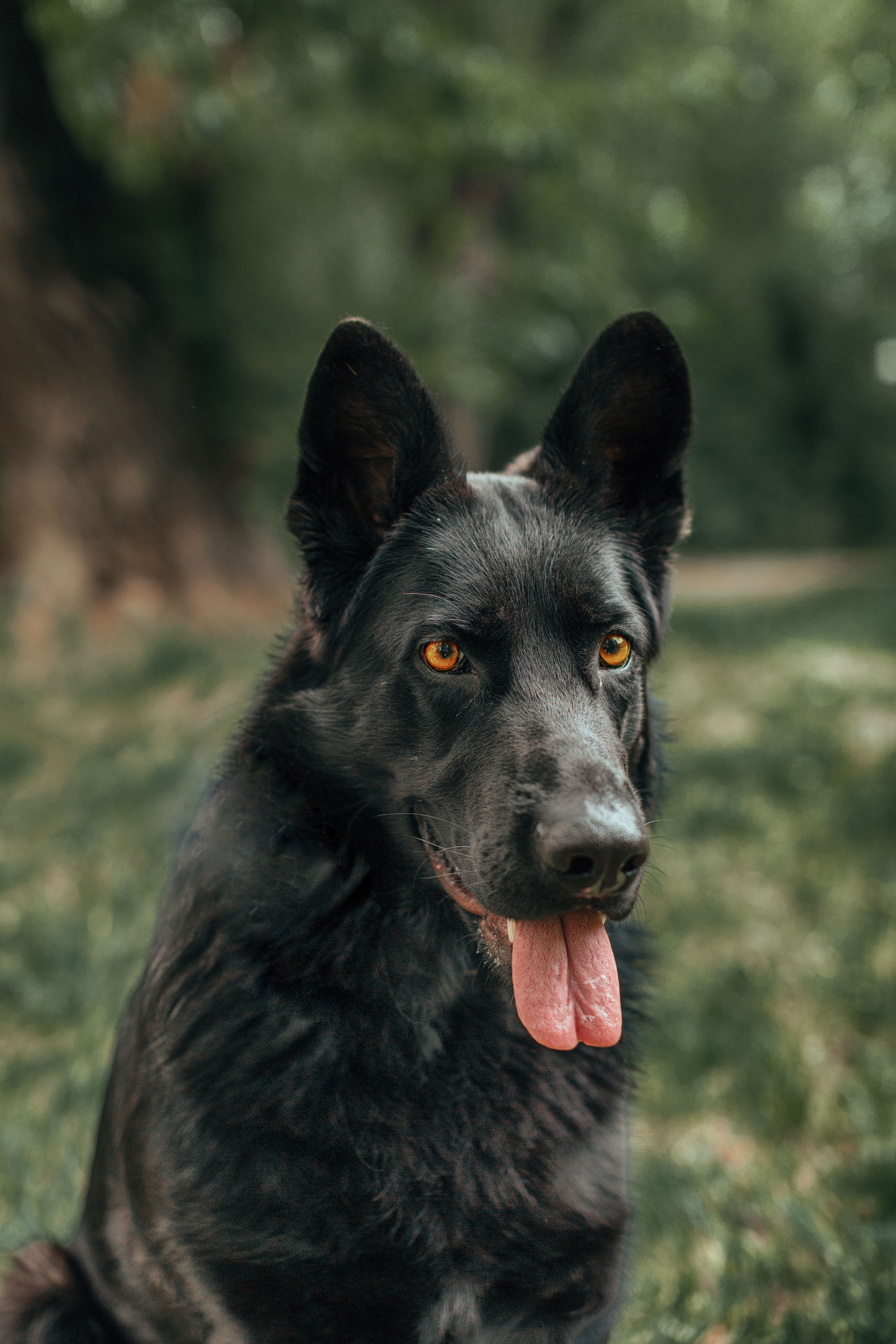 СТИЛИЗОВАННЫЕ СЪЕМКИ. Рекламная и портретная фотография Екатеринбург