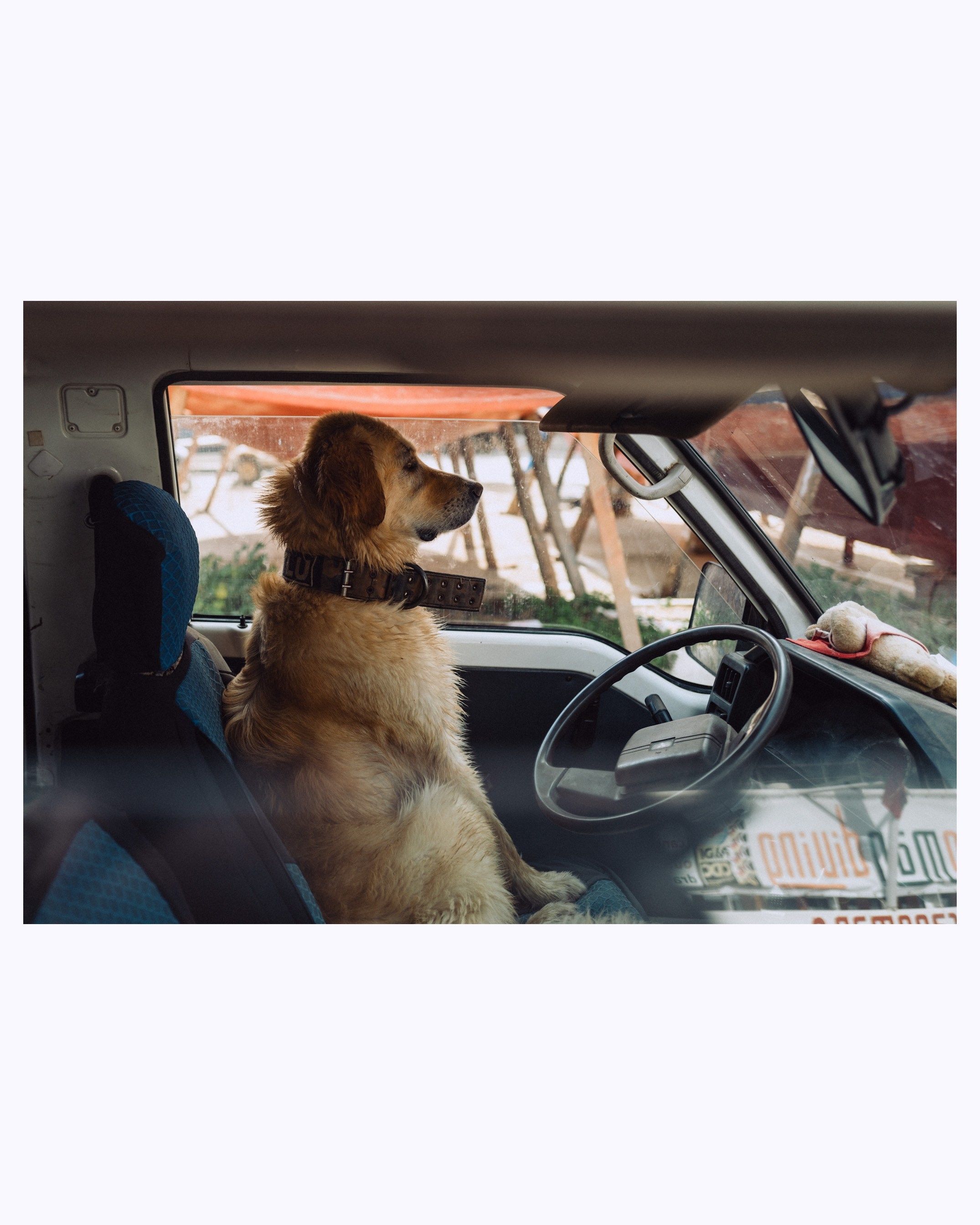 Street. Если ты на Земле — звони