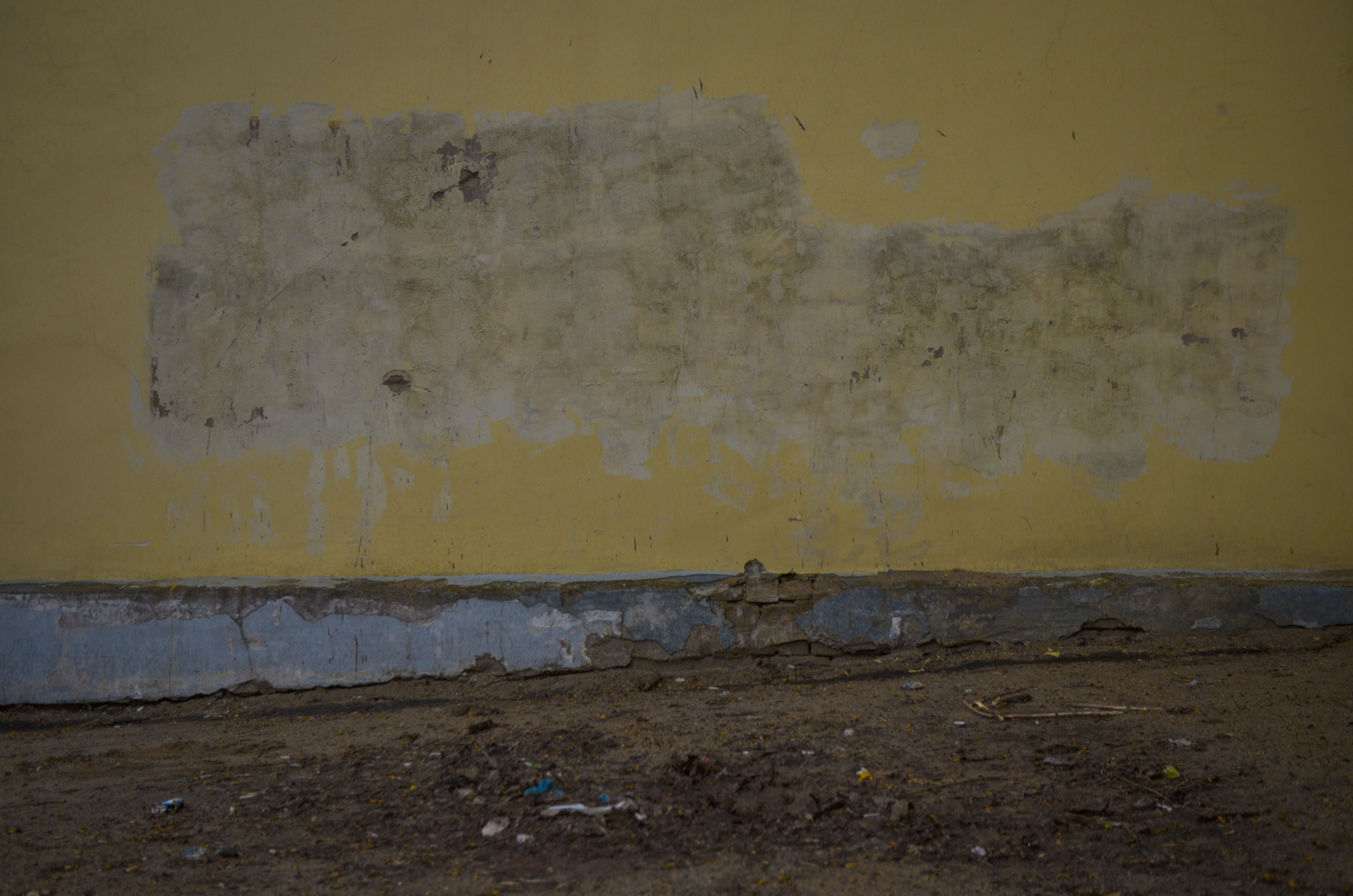 «П.ДД.Н». Fedor Kalinin