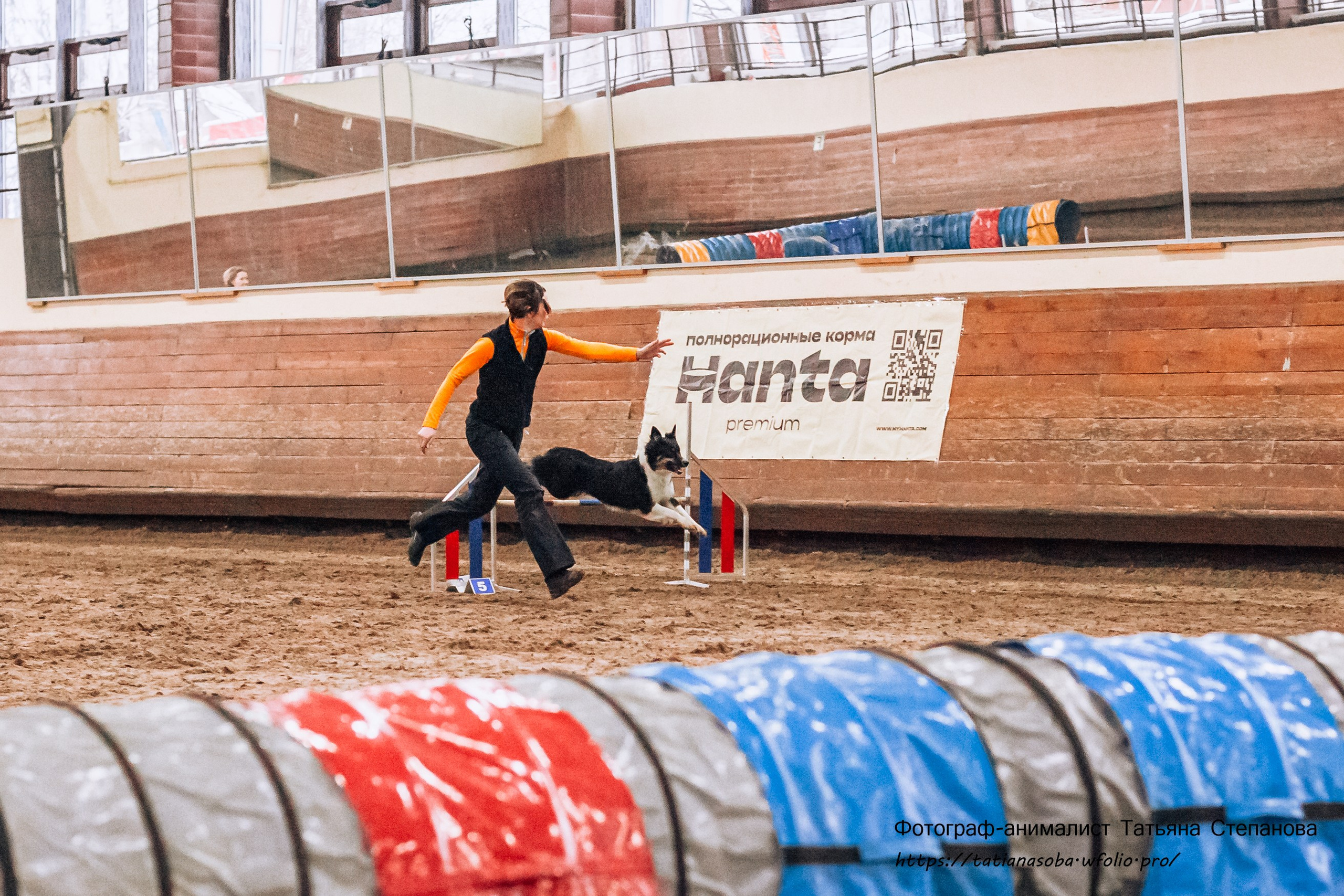 Соревнования по Аджилити 25.02.2024. Фотограф-анималист Татьяна Степанова