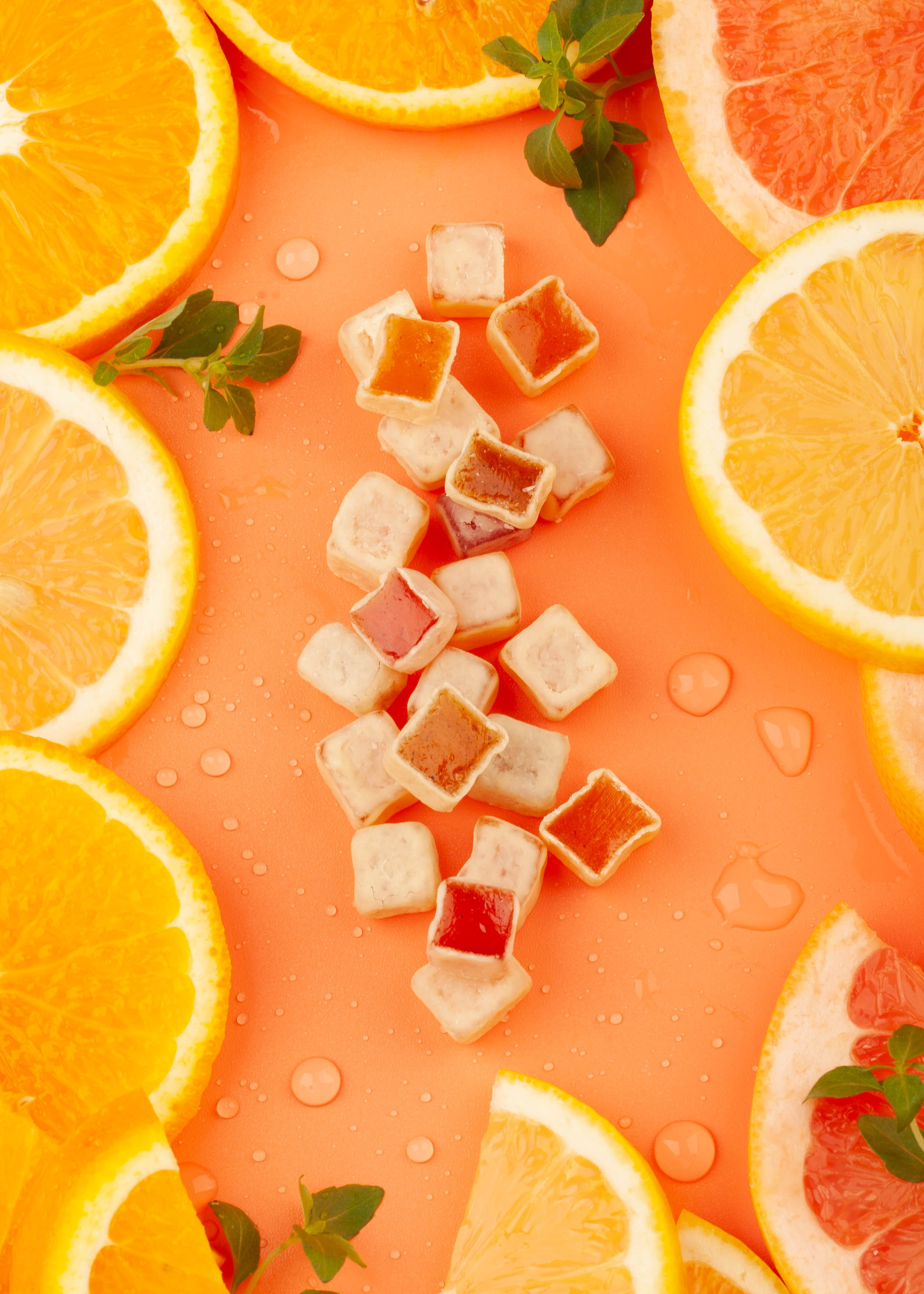 Kutkevich_brand. Главная