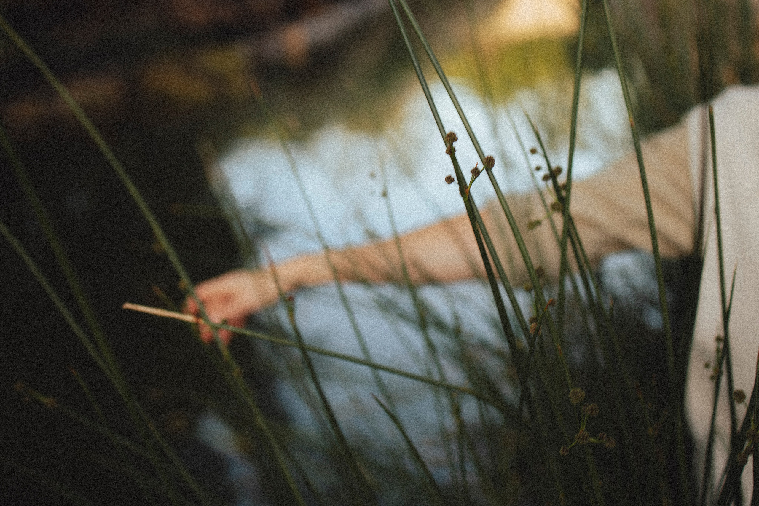 🤍. Главная