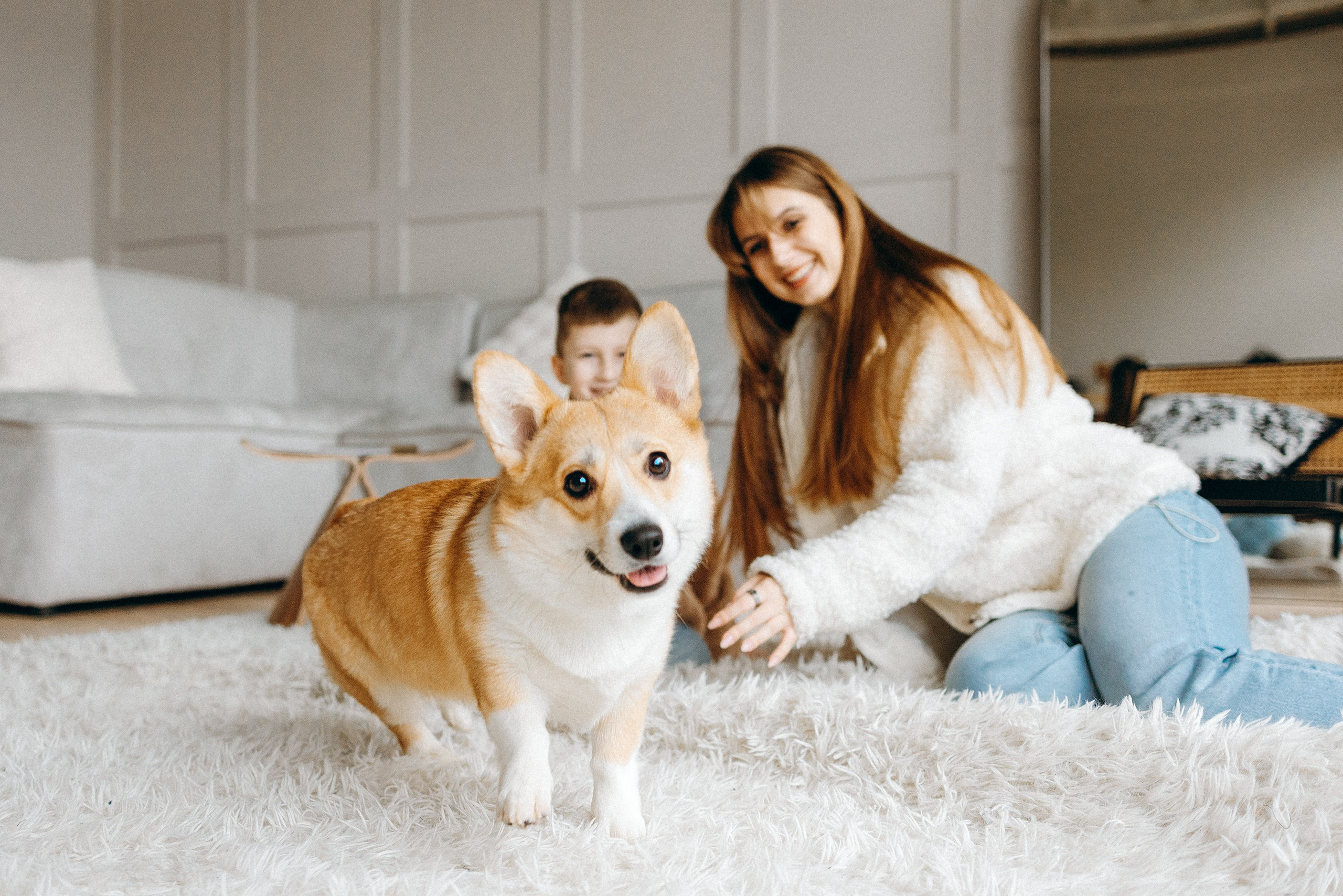 Семья с корги. Фотограф. Фотограф-анималист. Москва