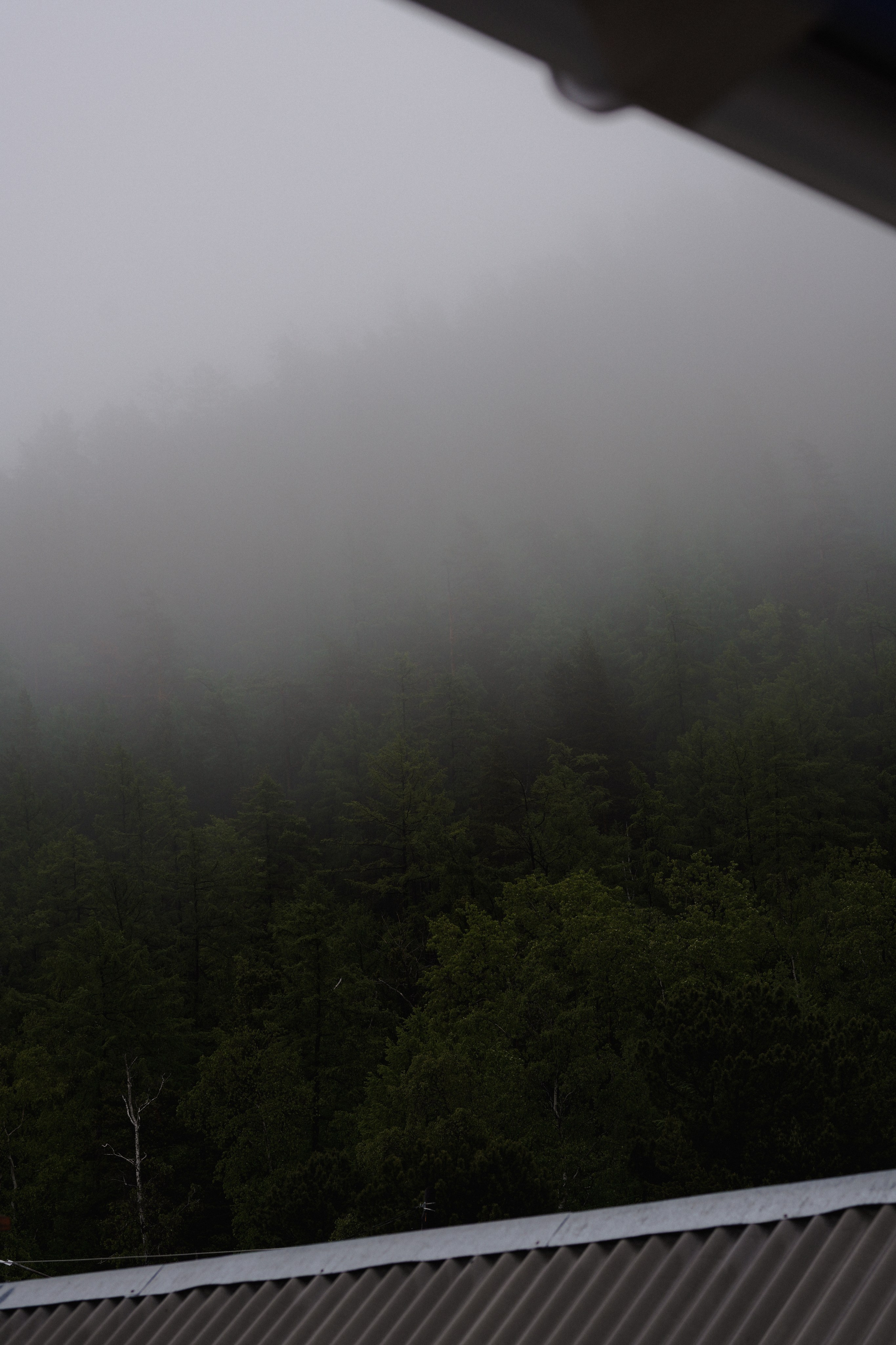 BAIKAL 06|24. Фотограф Виктория Виноградова