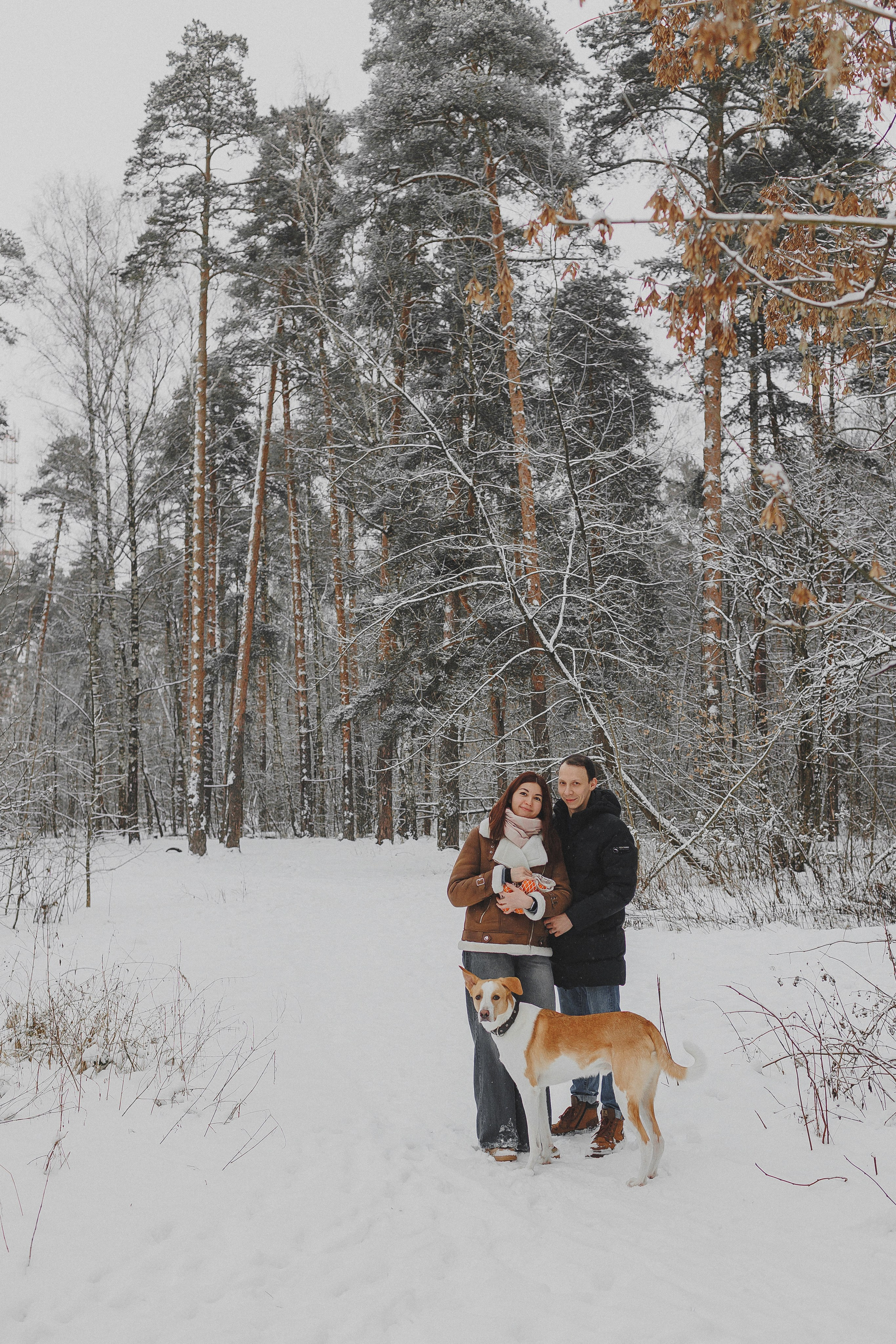 Зимняя фотосессия в лесу с собакой. Фотограф в Москве и Люберцах Анна Ушакова