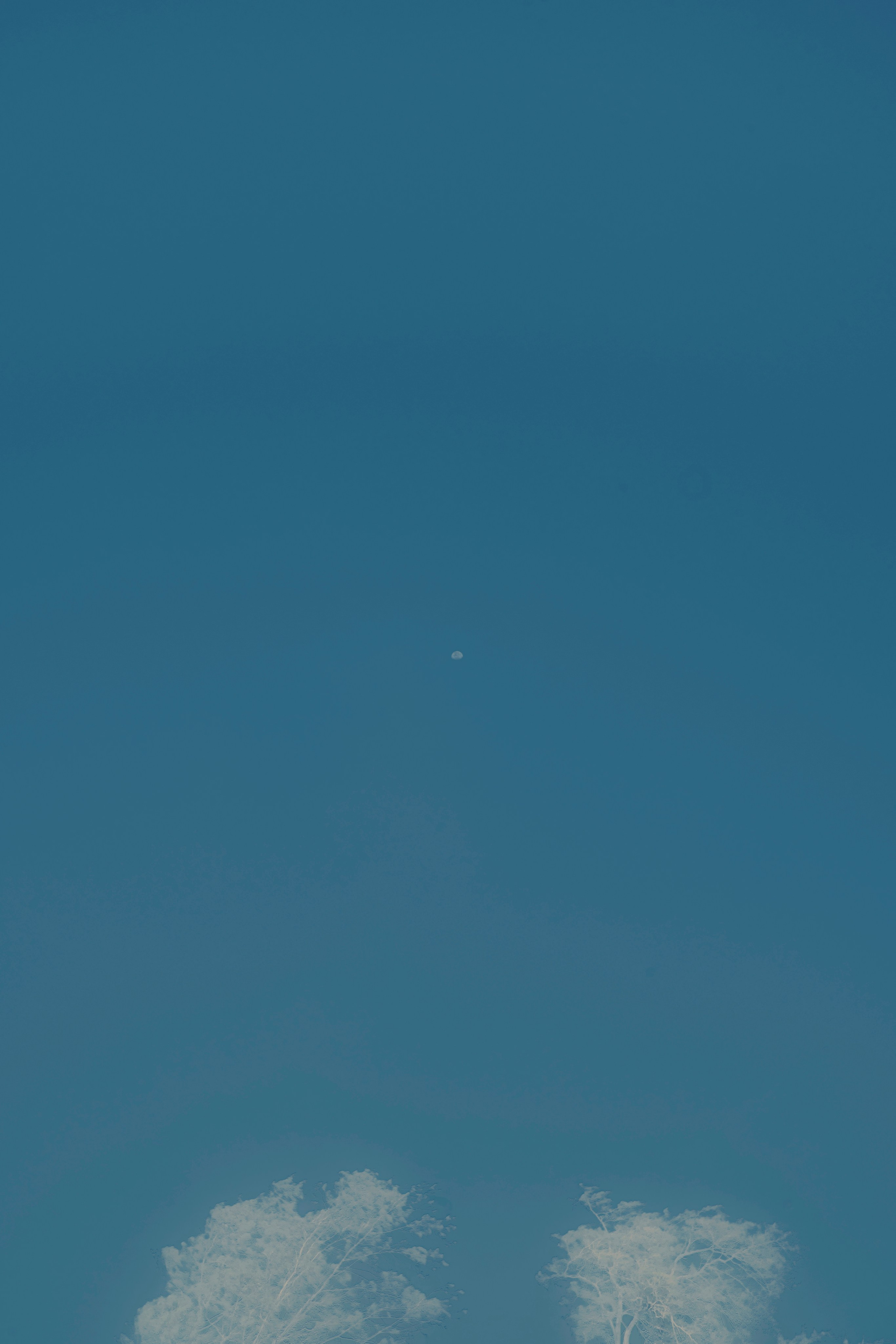 Свет рассыпается. Художественная фотография в Санкт-Петербурге Алина Берёзкина