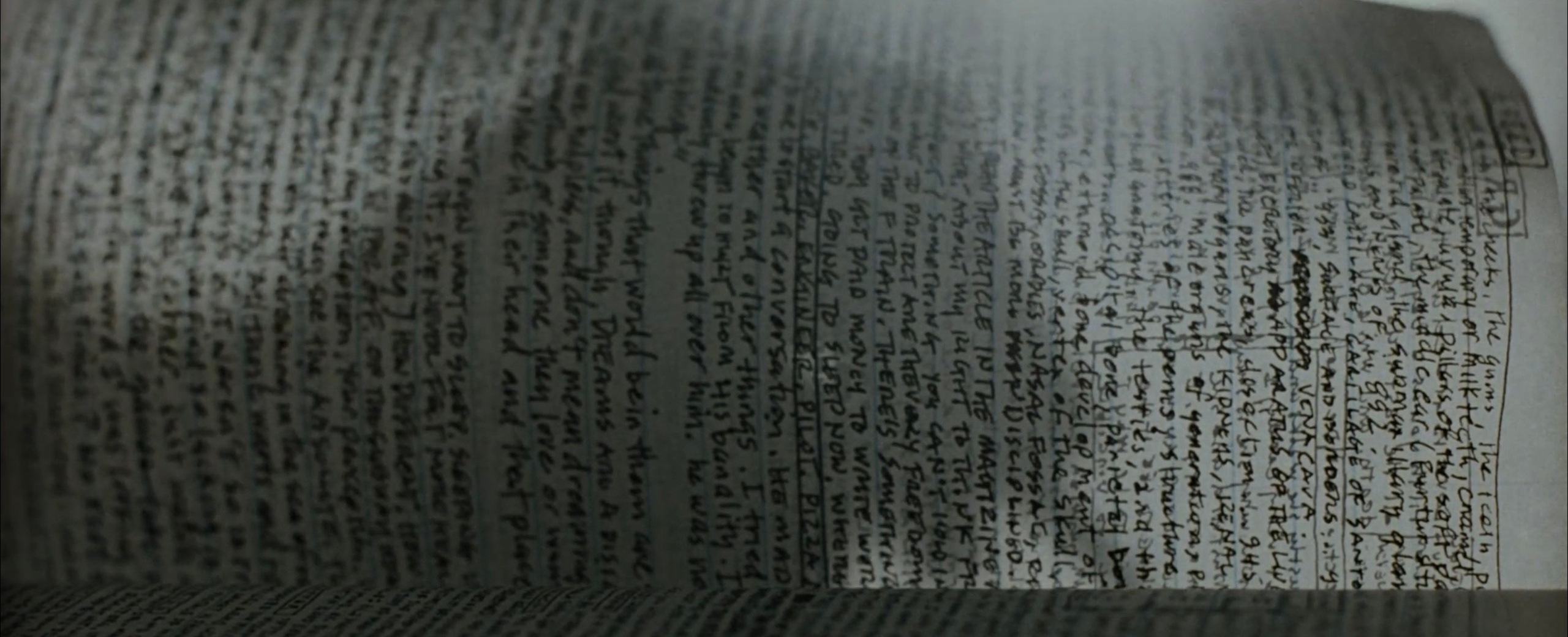 SE7EN. ANNA — PHOTOGRAPHER