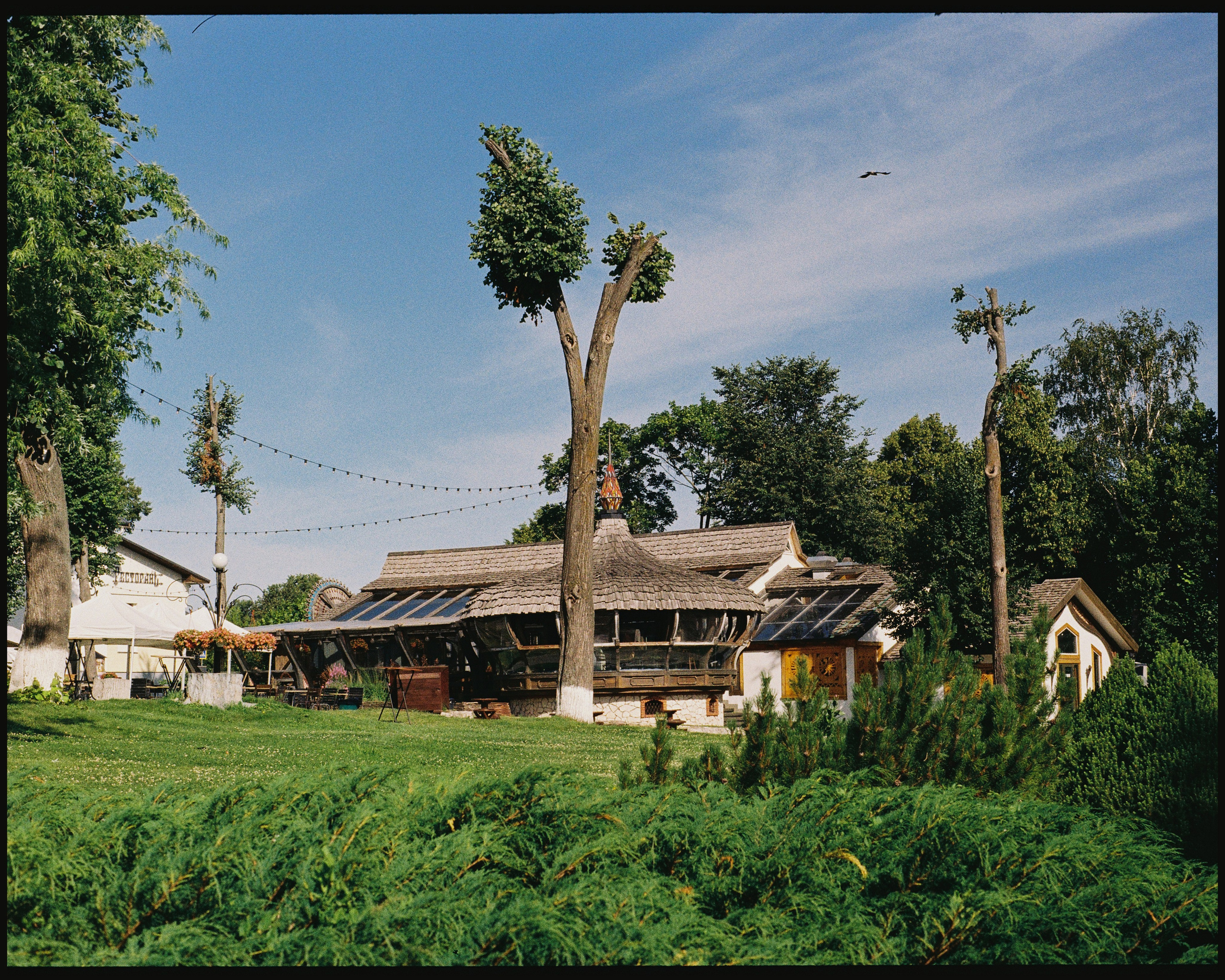 SUZDAL. ANNA — PHOTOGRAPHER
