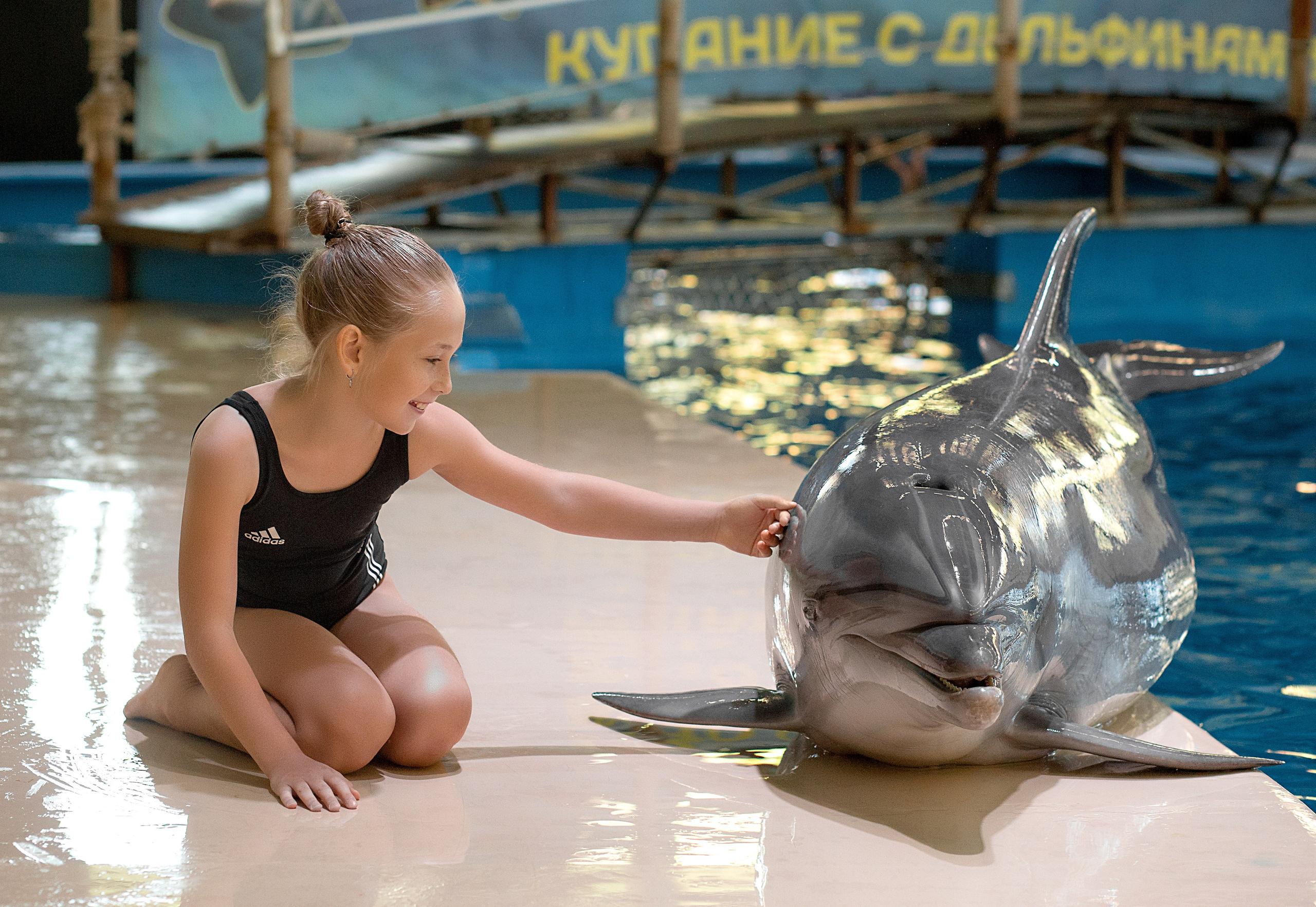 Арина и дельфины. Фотосессия с лошадьми в Нижнем Новгороде