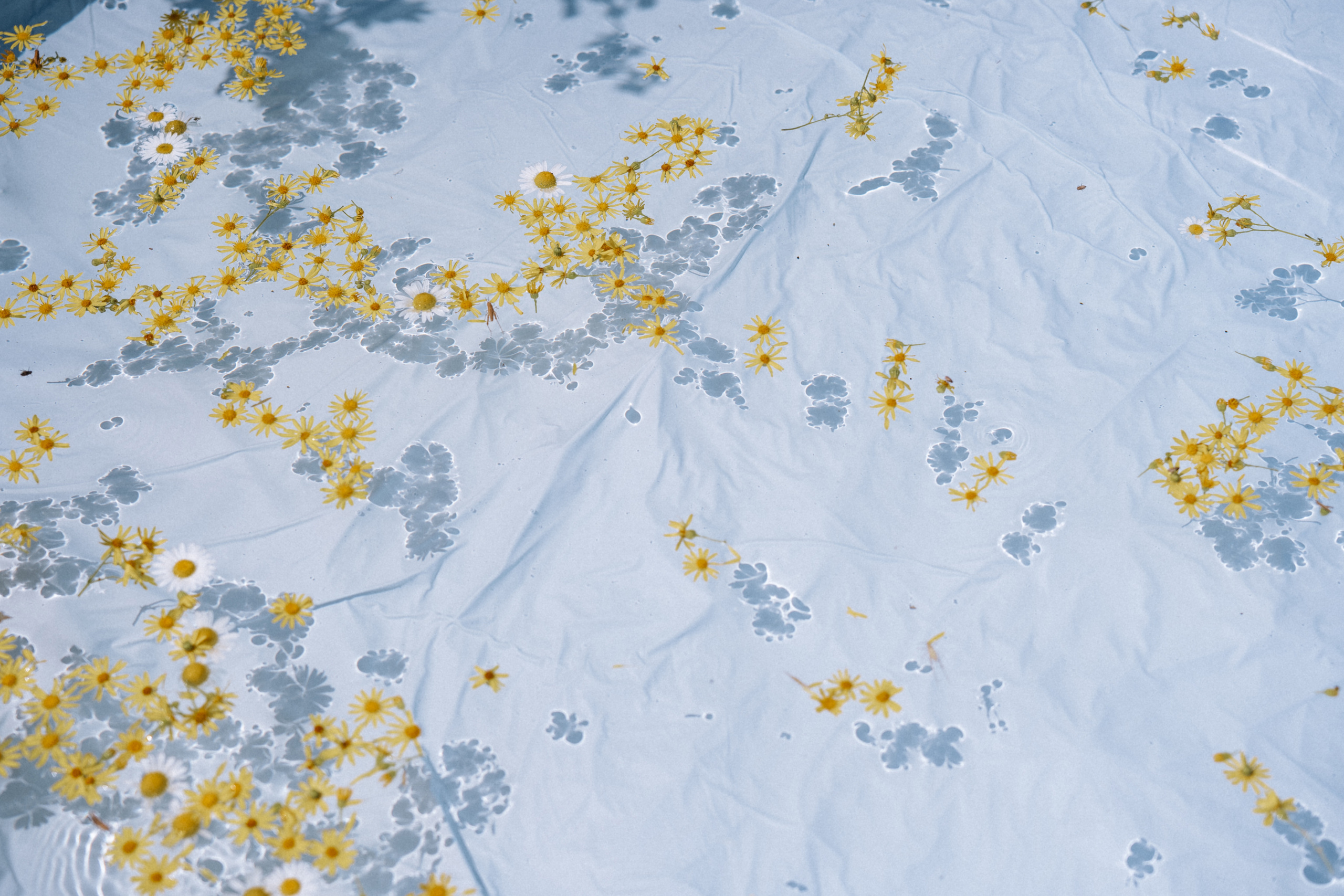 Мизинчики. Полный день (сокращено). Семейный и портретный фотограф в Саратове Сахарова Маша