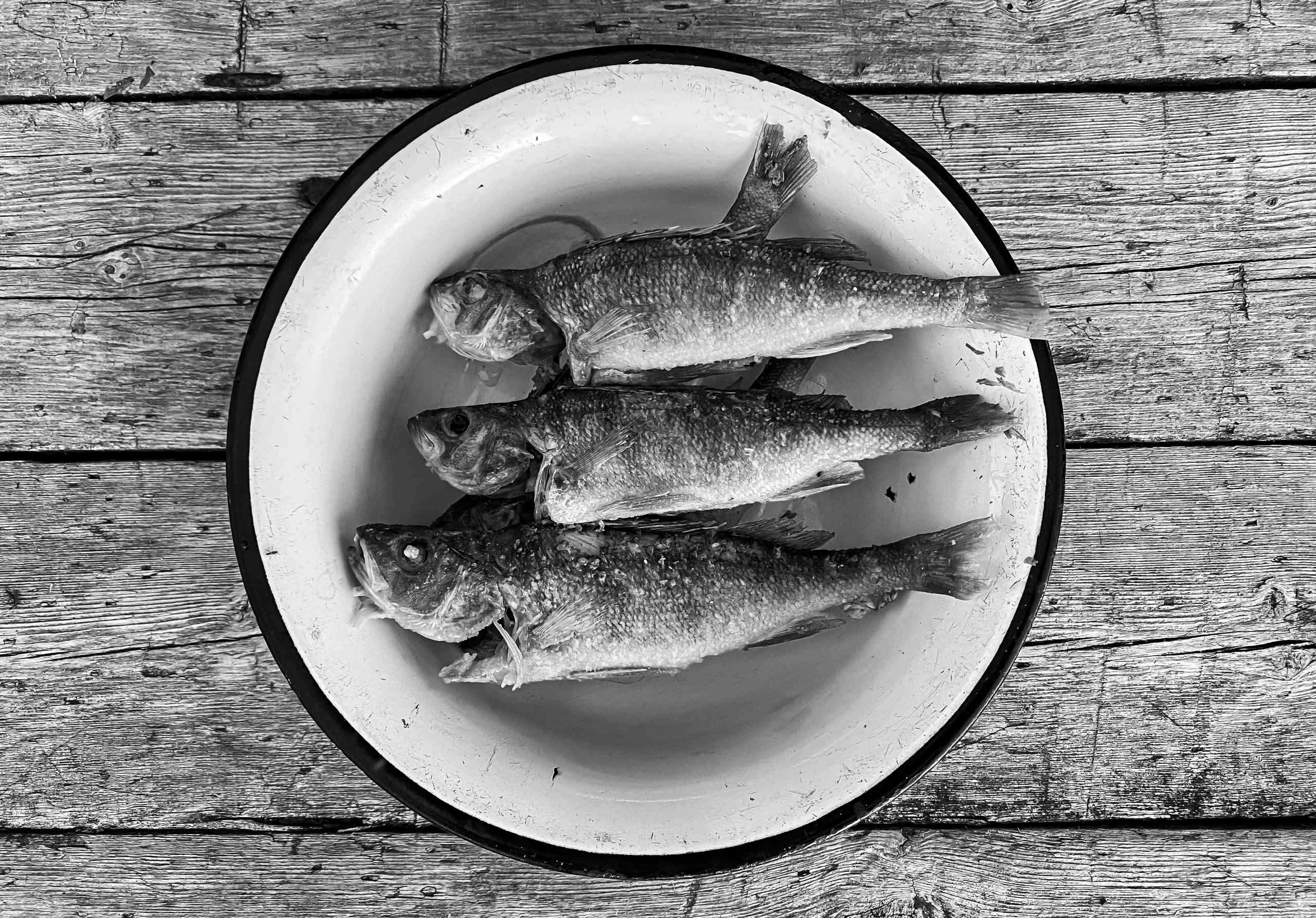 Мобильное фото. Фотограф Семён Родов