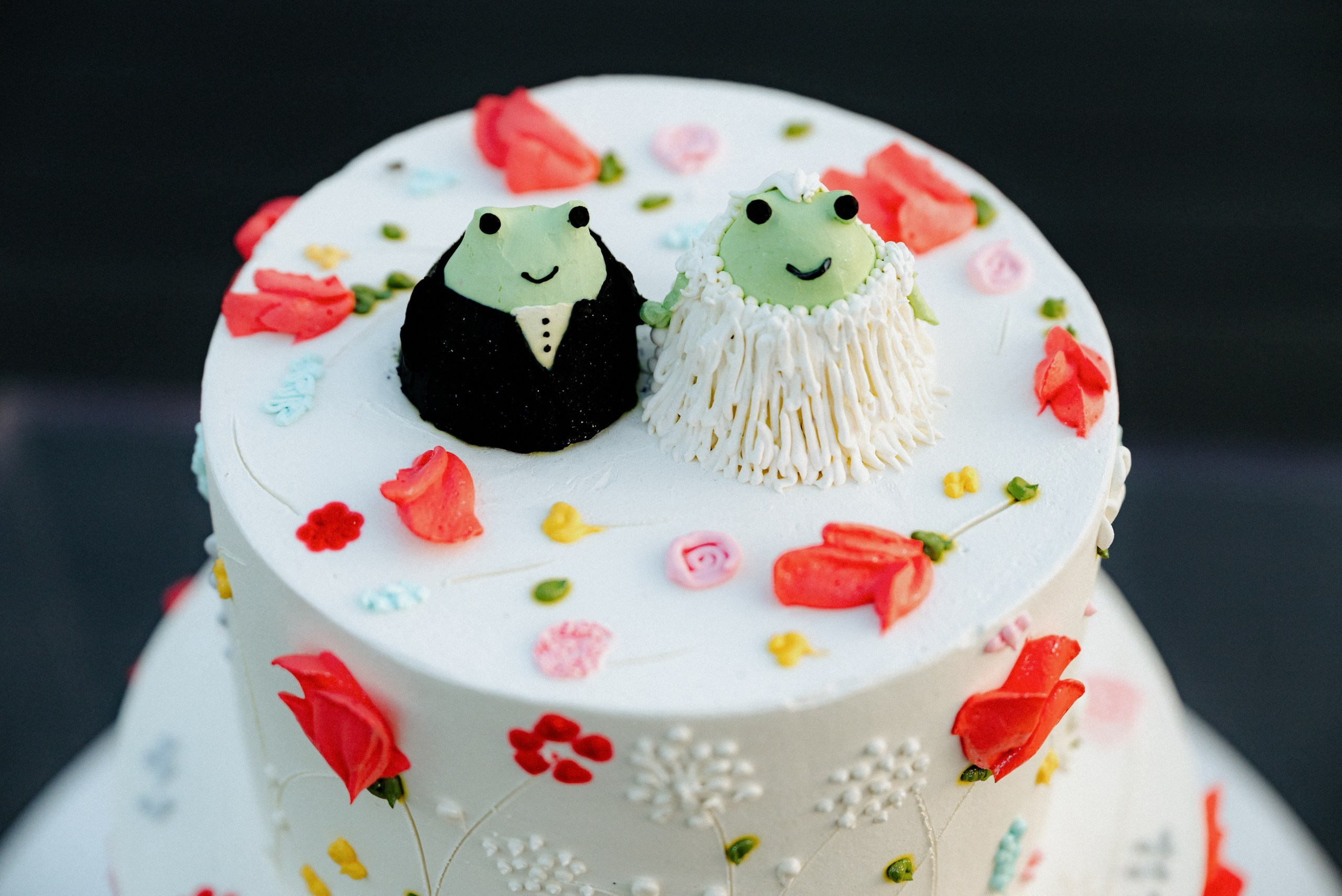 Frogs. Фотограф в Санкт-Петербурге Евгений Перевалов