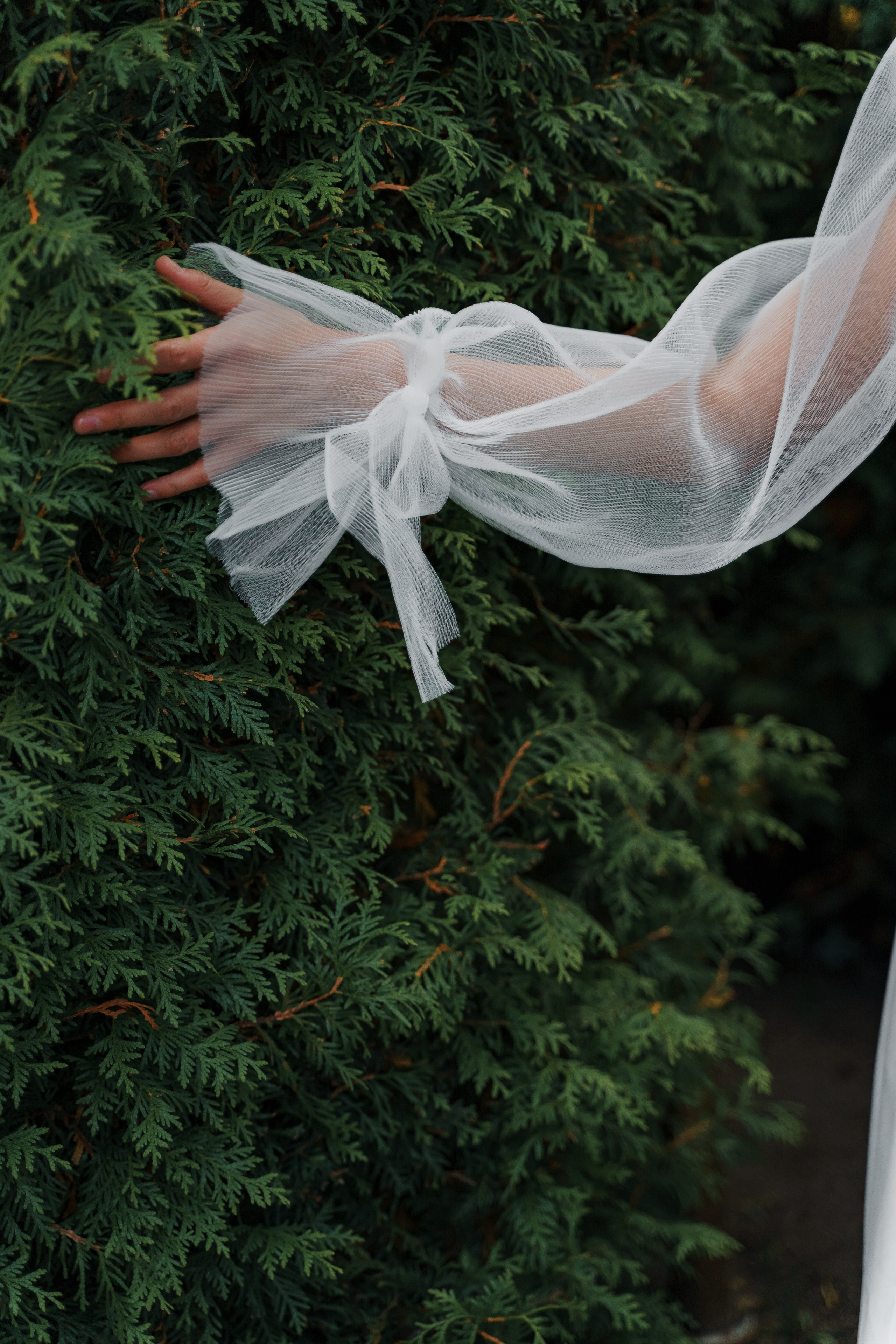 Свадебная фотосъемка, свадьба, свадебный фотограф, фотограф видеограф