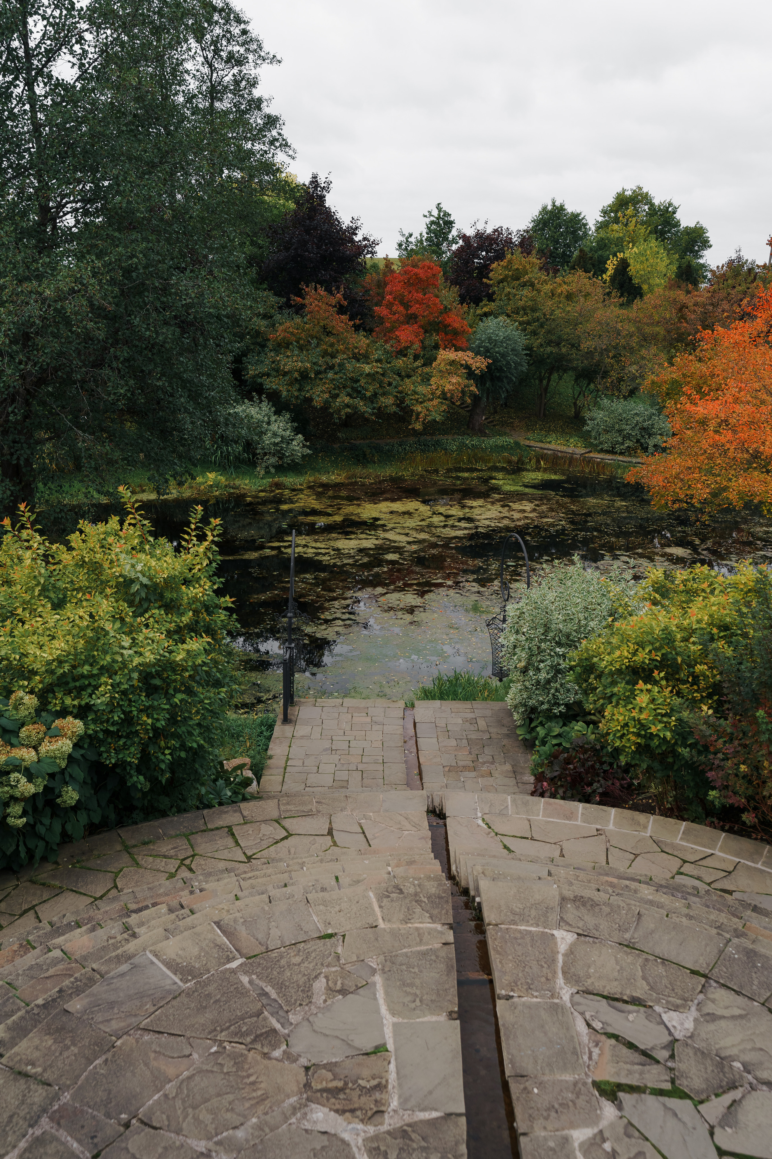 Свадебная фотосъемка, свадьба, свадебный фотограф, фотограф видеограф