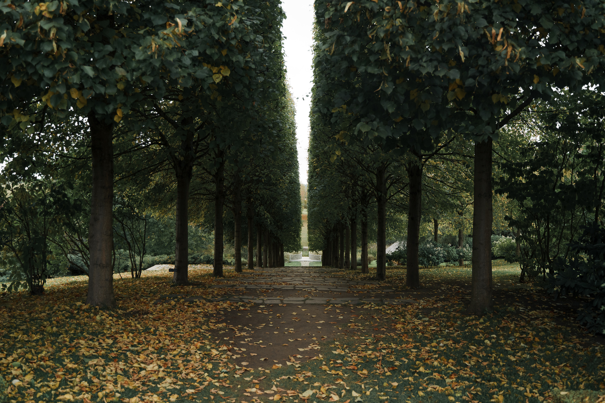 Свадебная фотосъемка, свадьба, свадебный фотограф, фотограф видеограф