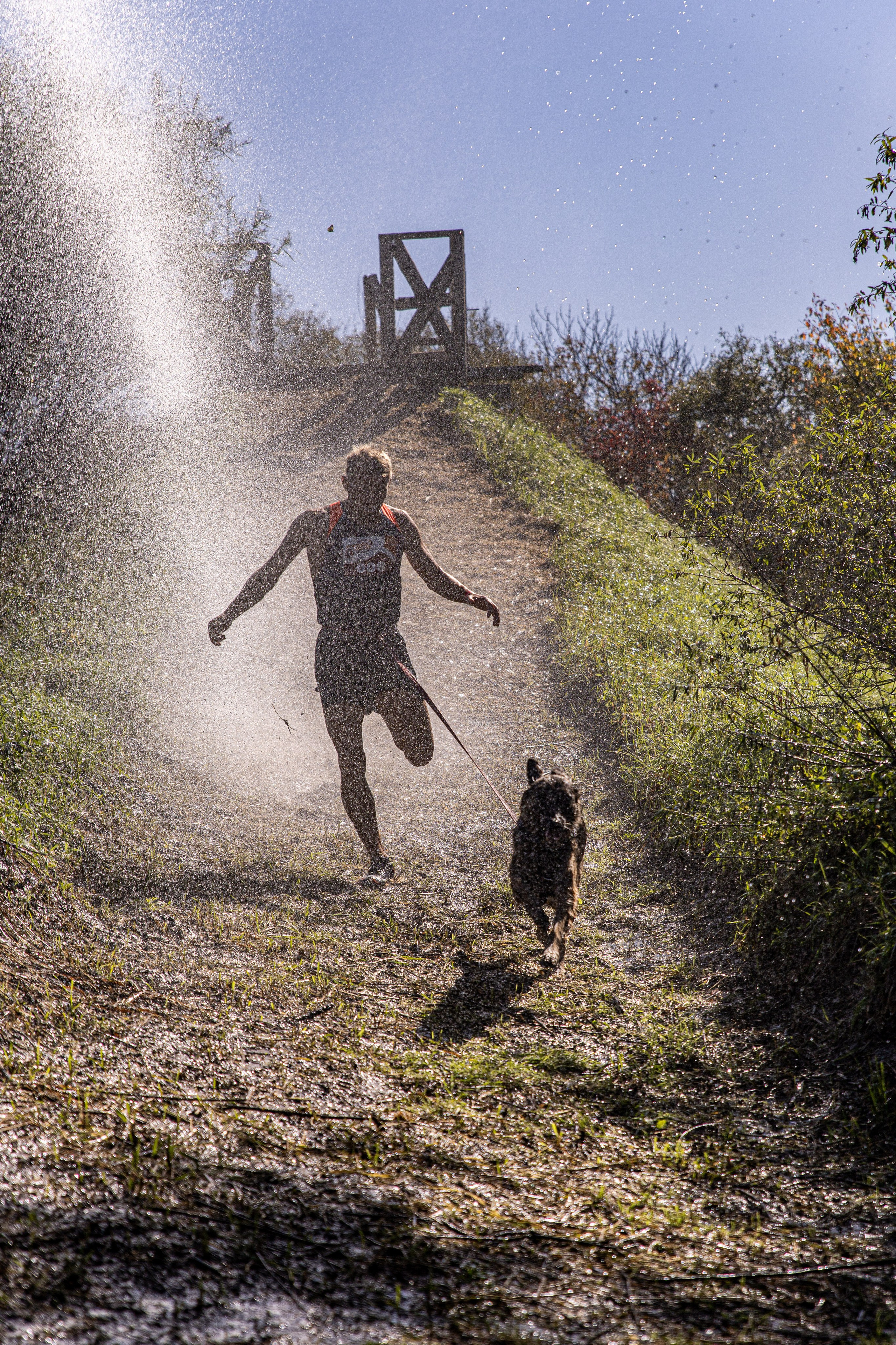 Dogtrail 2023. Уссурийск