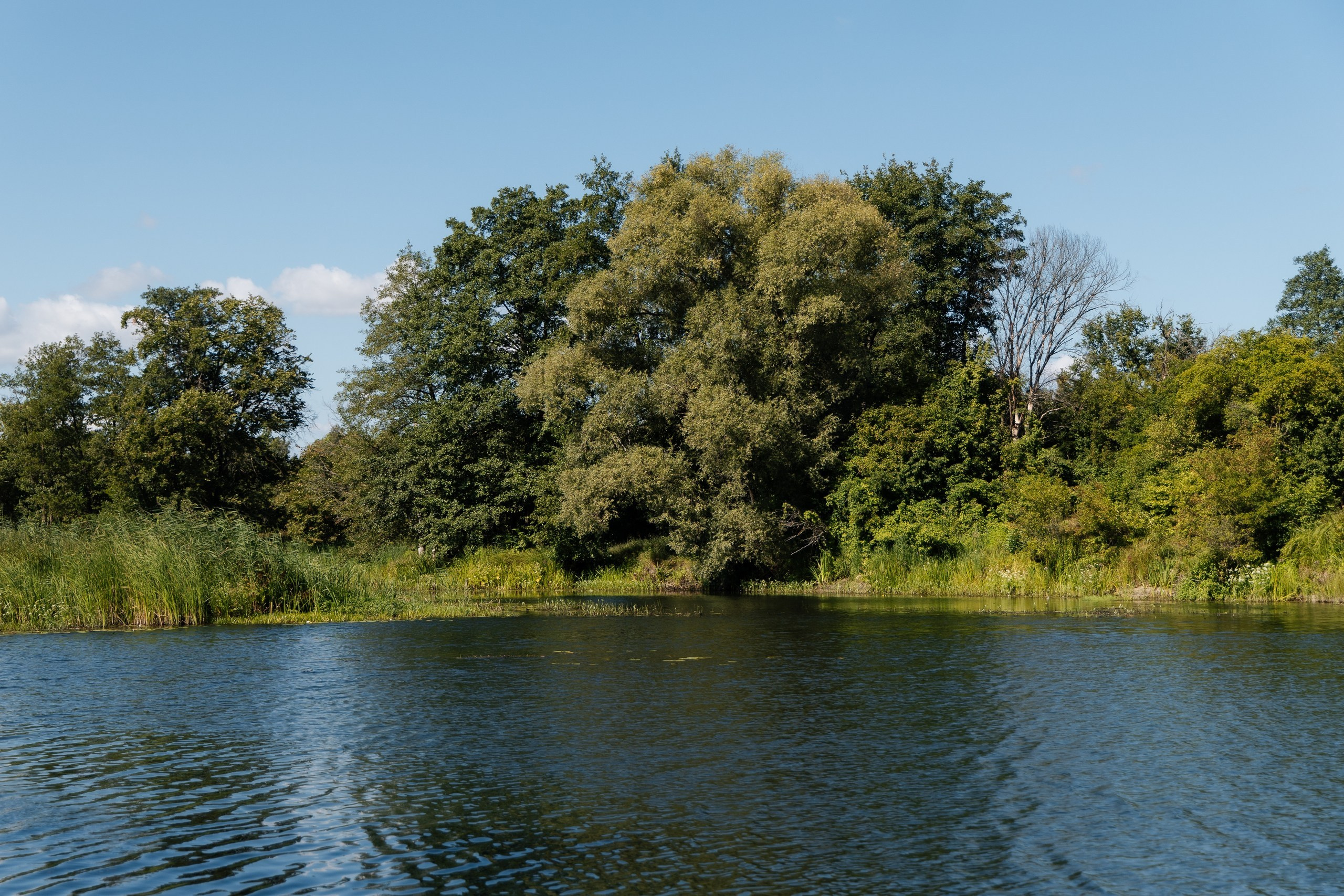 Трейдсан | Корпоратив 12 лет. Свадебный и репортажный фотограф в Воронеже Сергей Максимов