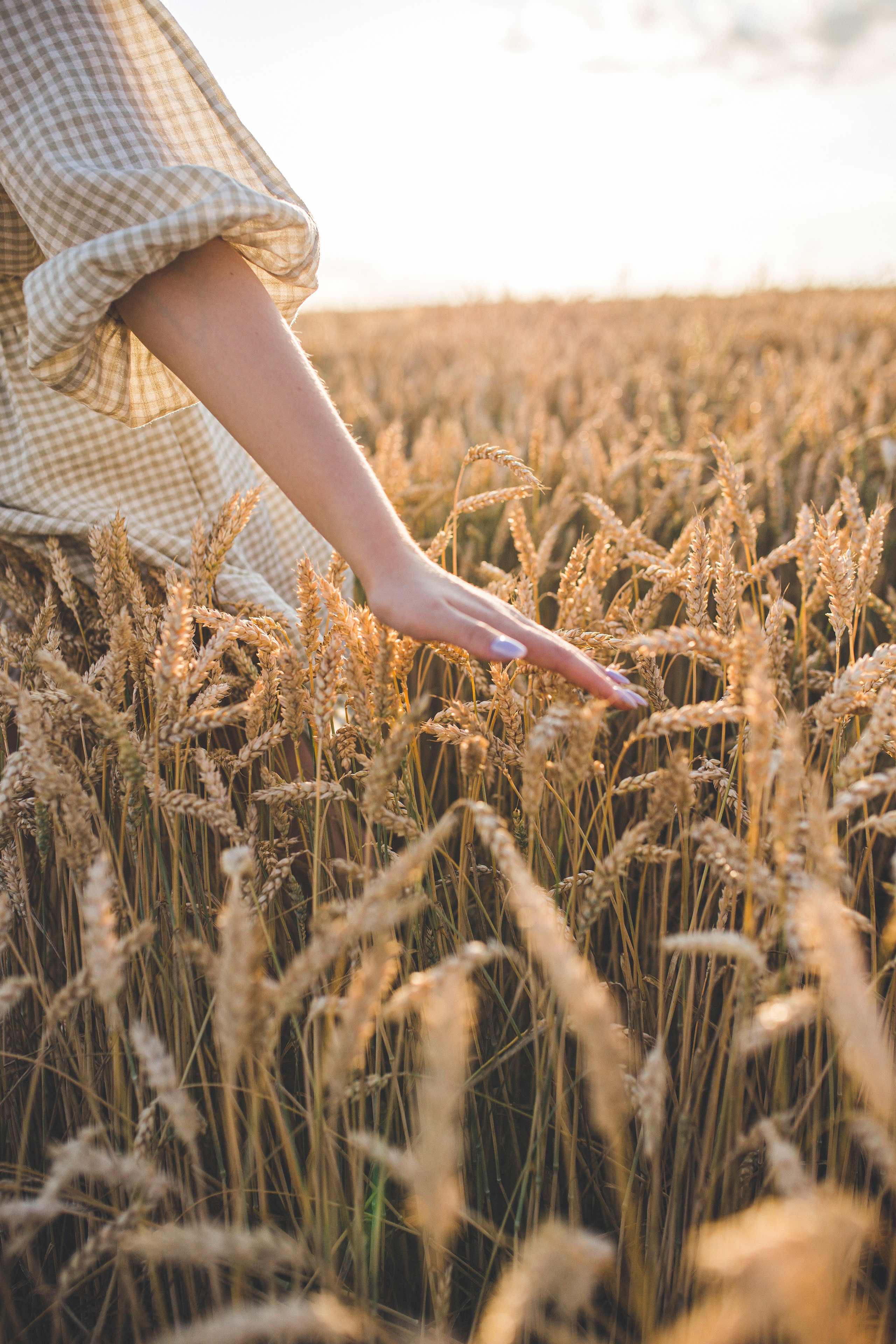 Летняя прогулка с Ксенией