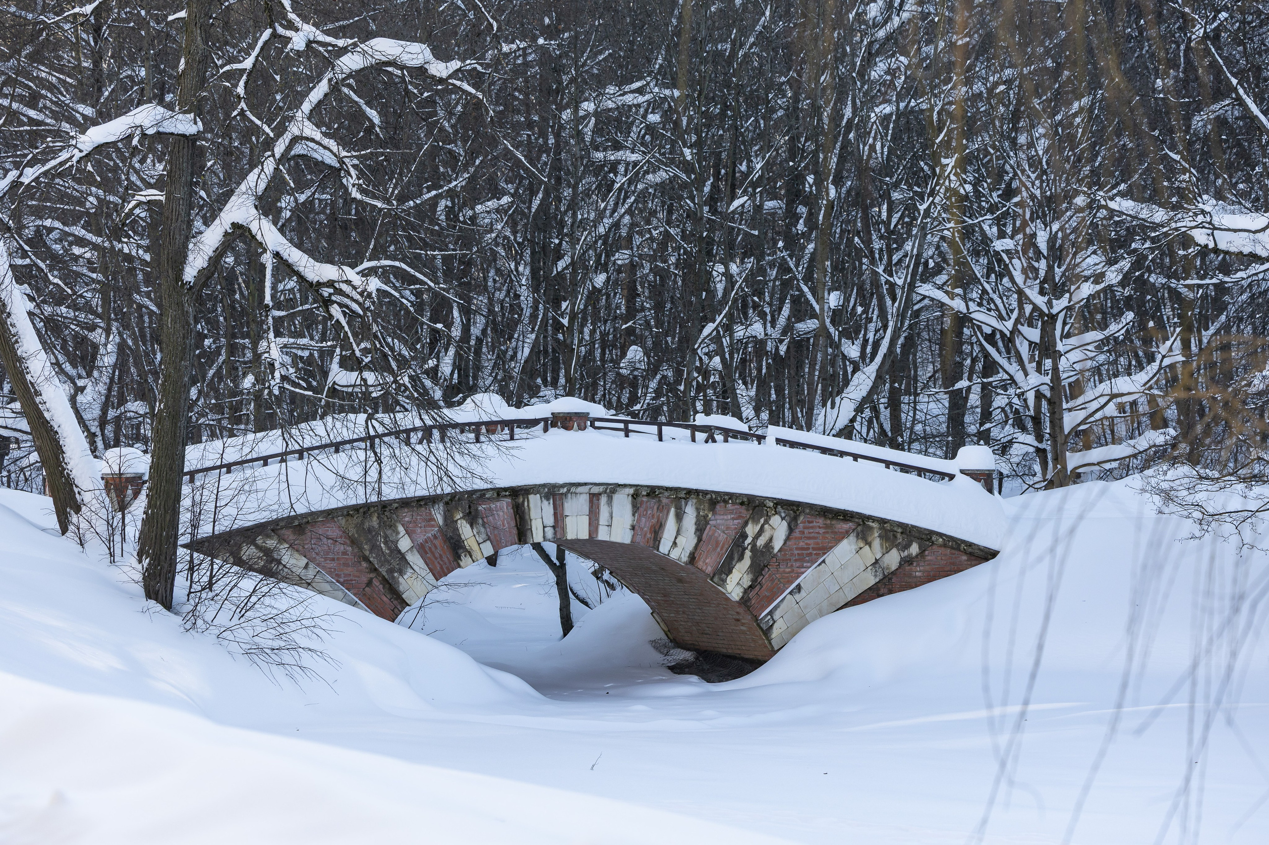 Природа. Фотограф Владимир Охрименко