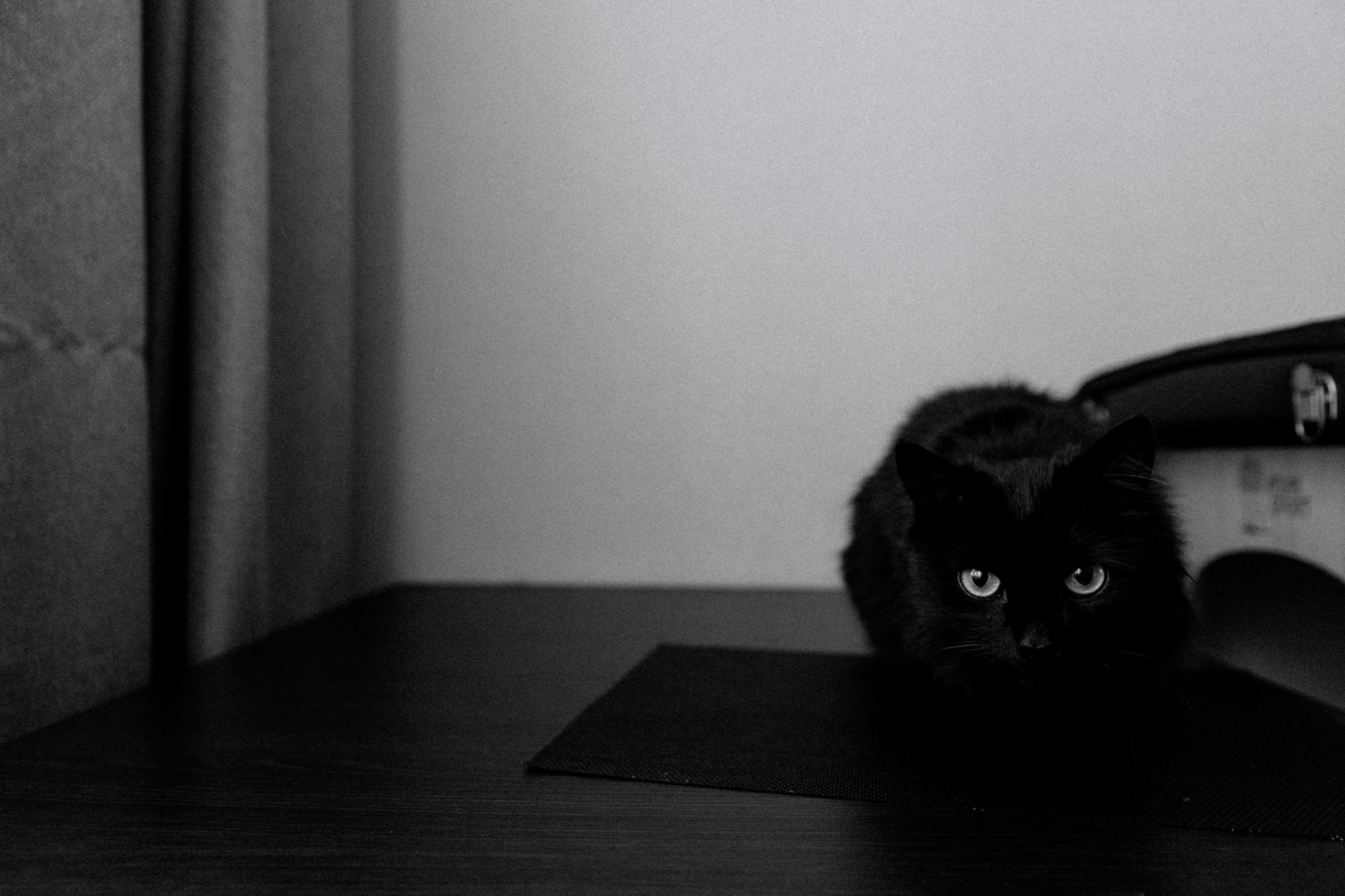 Иван Иваныч. Свадебные фотографы в Гомеле и Минске Сергей и Анастасия Фещенок