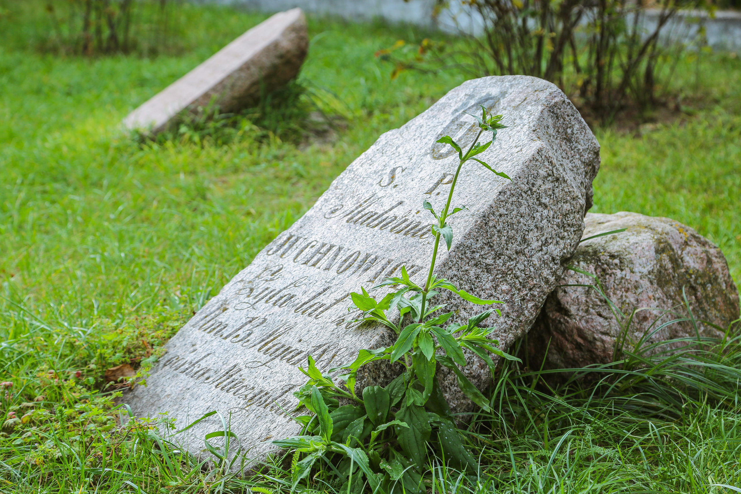 Минск. Дарья Письменюк / Darya Leitstern — фотограф, музыкант, журналист, путешественник