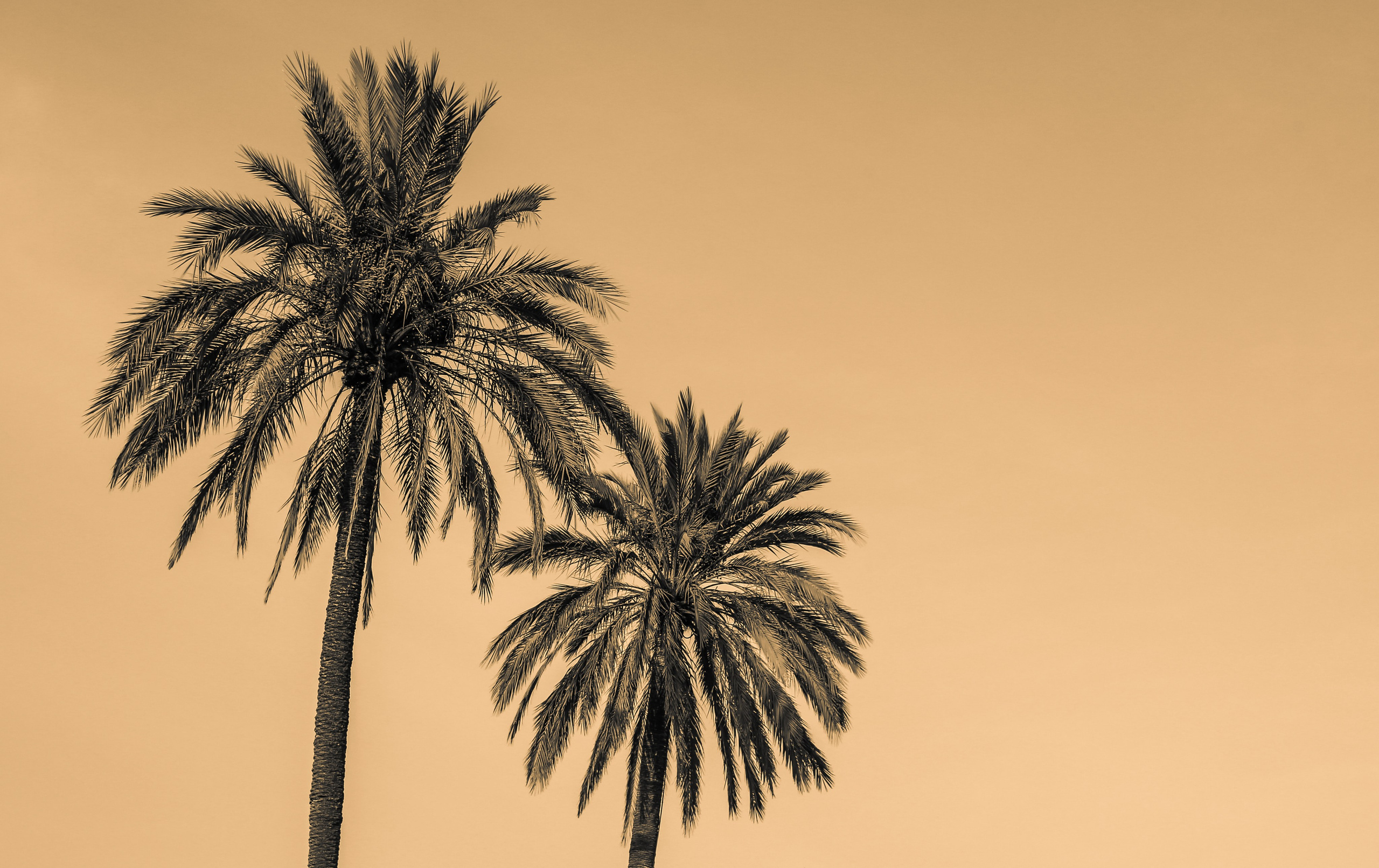 Испания: Мурсия и Арчена — взгляд с дистанции. Дарья Письменюк / Darya Leitstern — фотограф, музыкант, журналист, путешественник