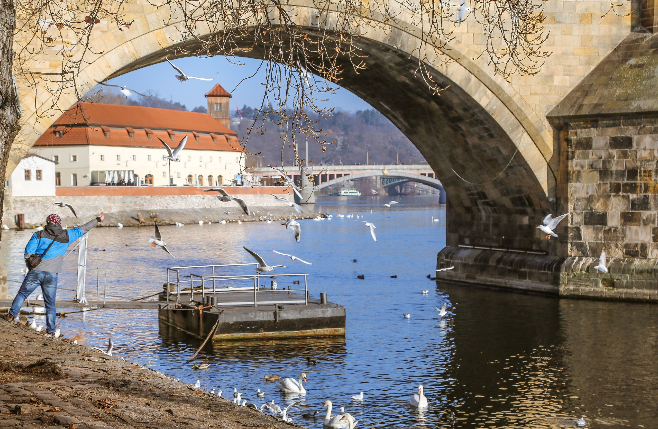 Чехия: Прага. Дарья Письменюк / Darya Leitstern — фотограф, музыкант, журналист, путешественник