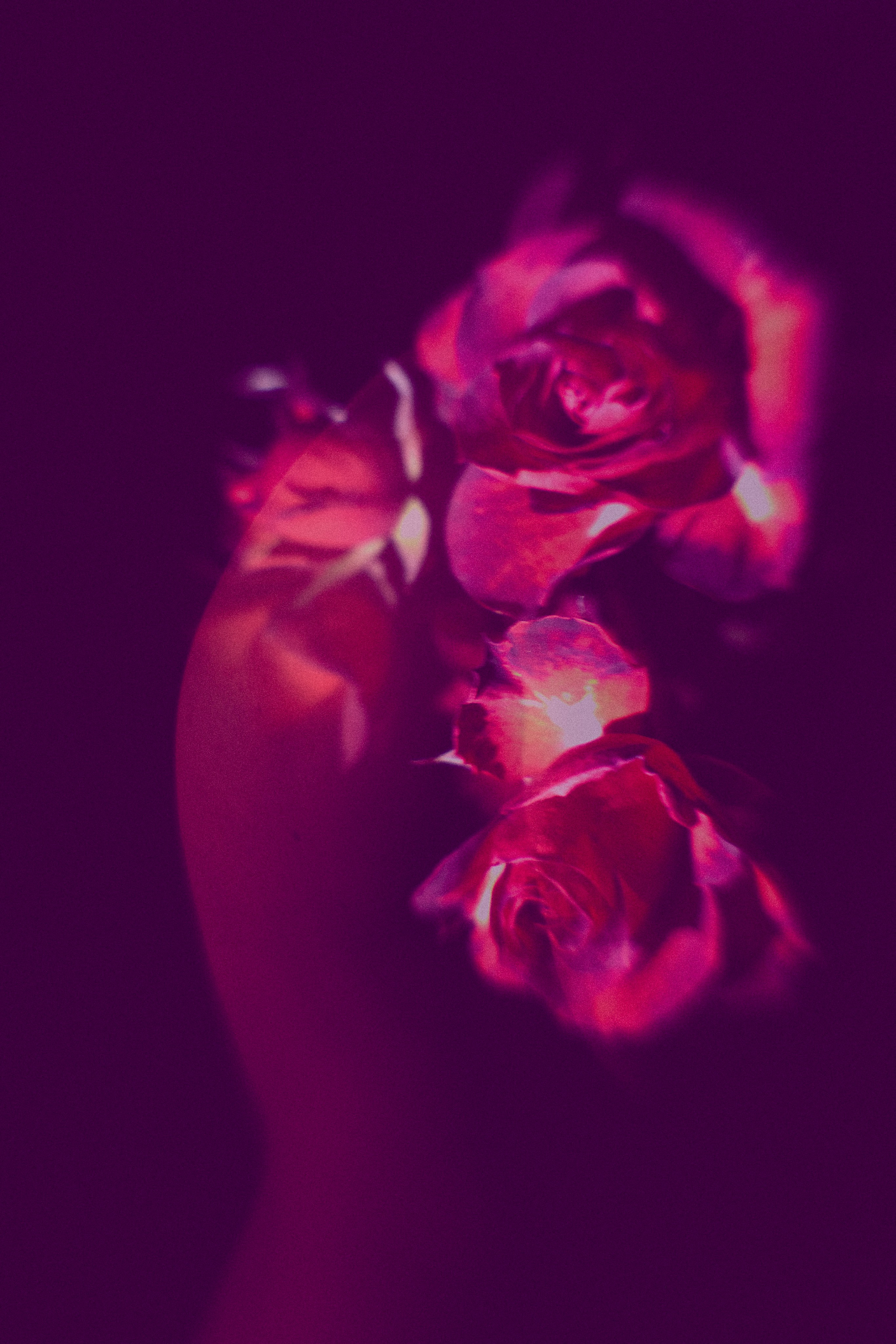 Visual artist/photographer Dayneko Tatyana Krasnoyarsk