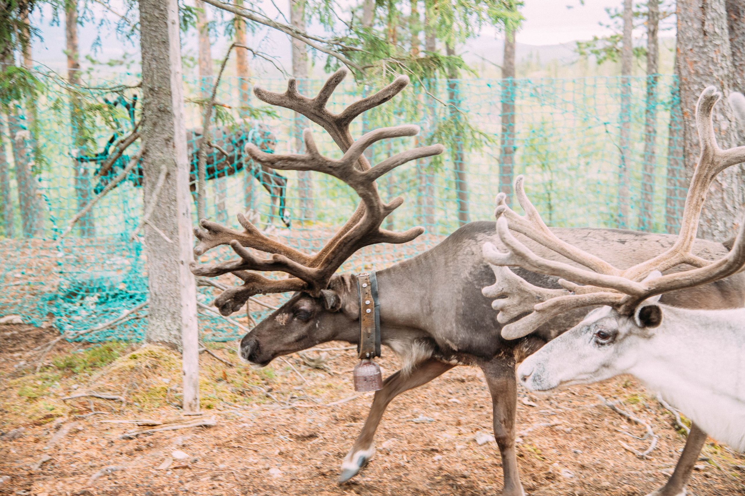 Кольский полуостров. Фотографирую для себя, своей семьи и друзей!