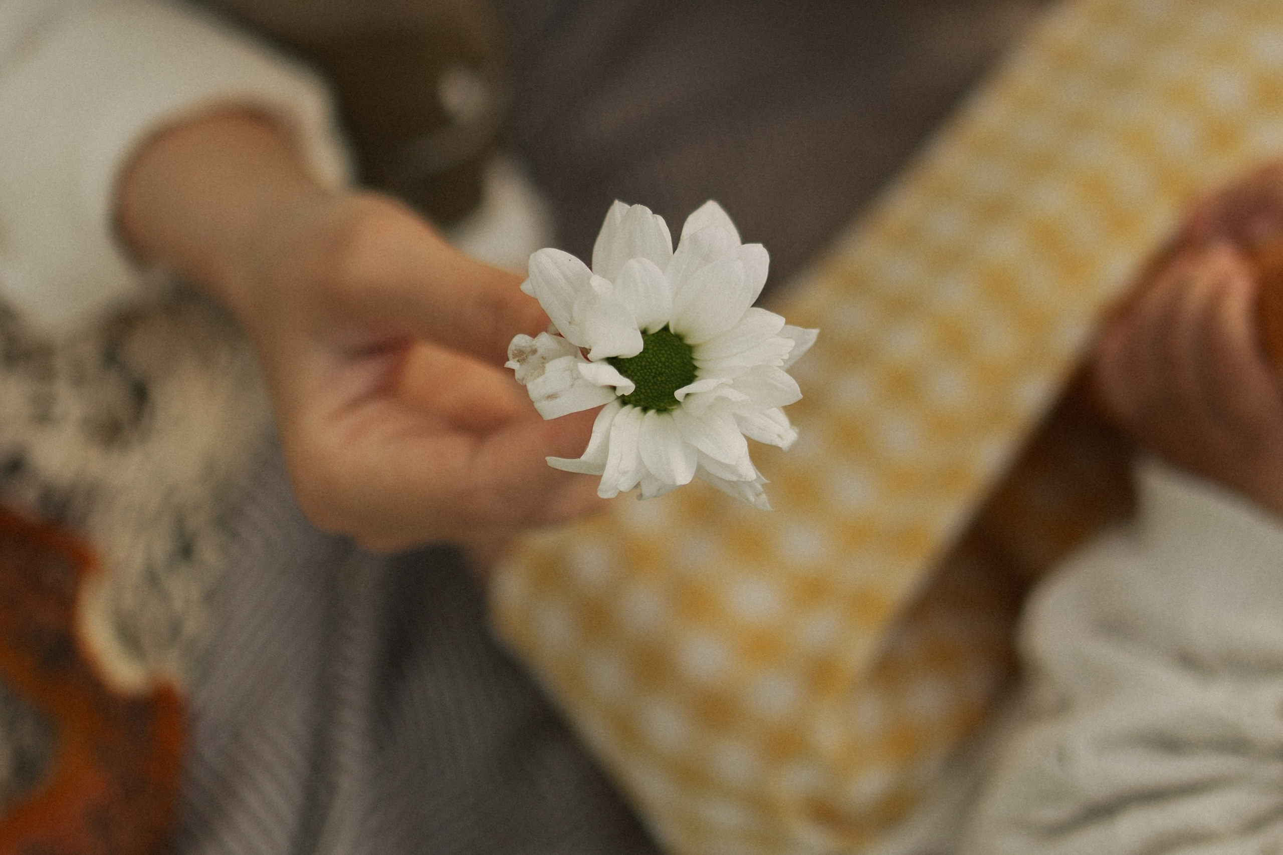 Лола и Софи. Главная