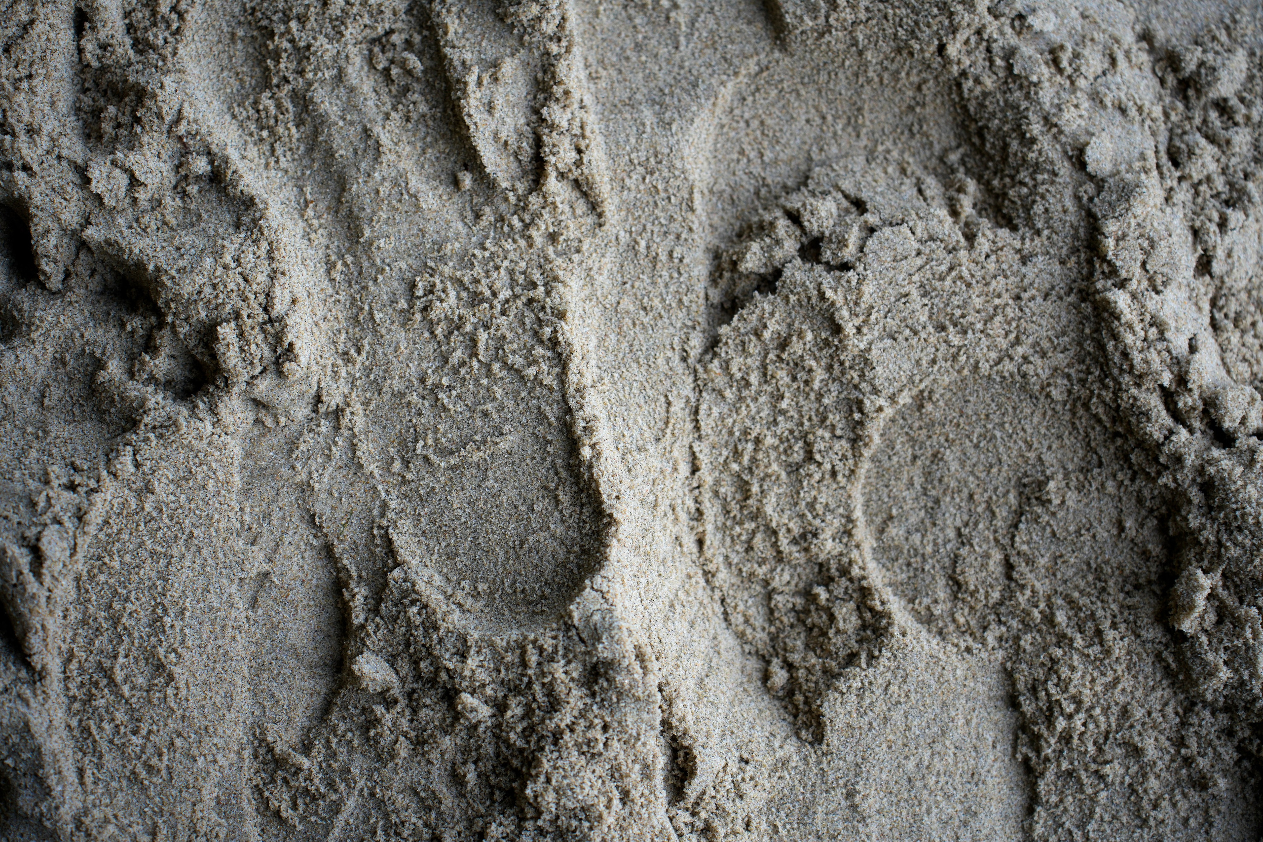 Arseniy Karchevskiy I Photographer